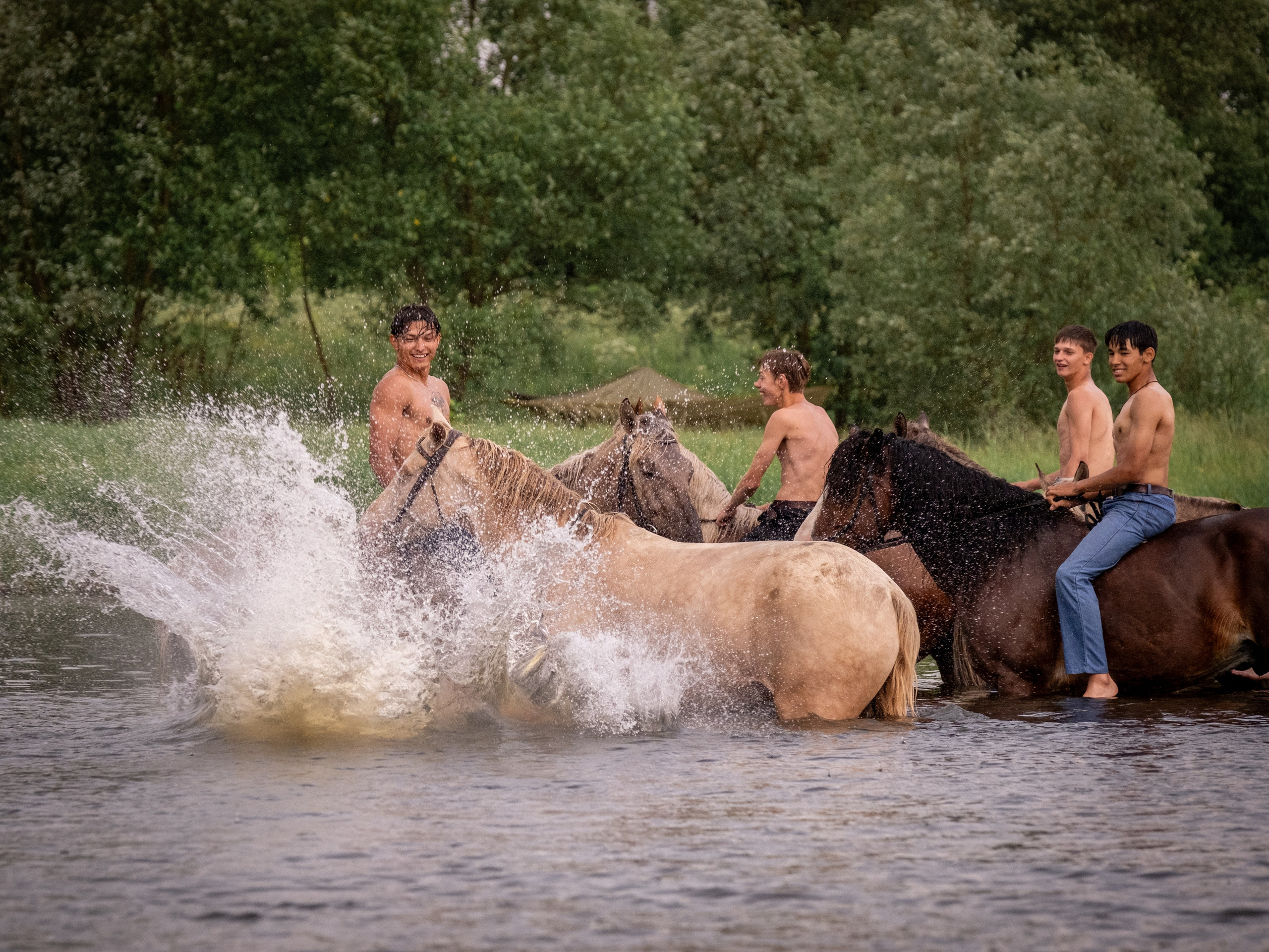 Люди и лошади!. Зоофотограф, фотограф животных в Москве и области Дина Дамоцева