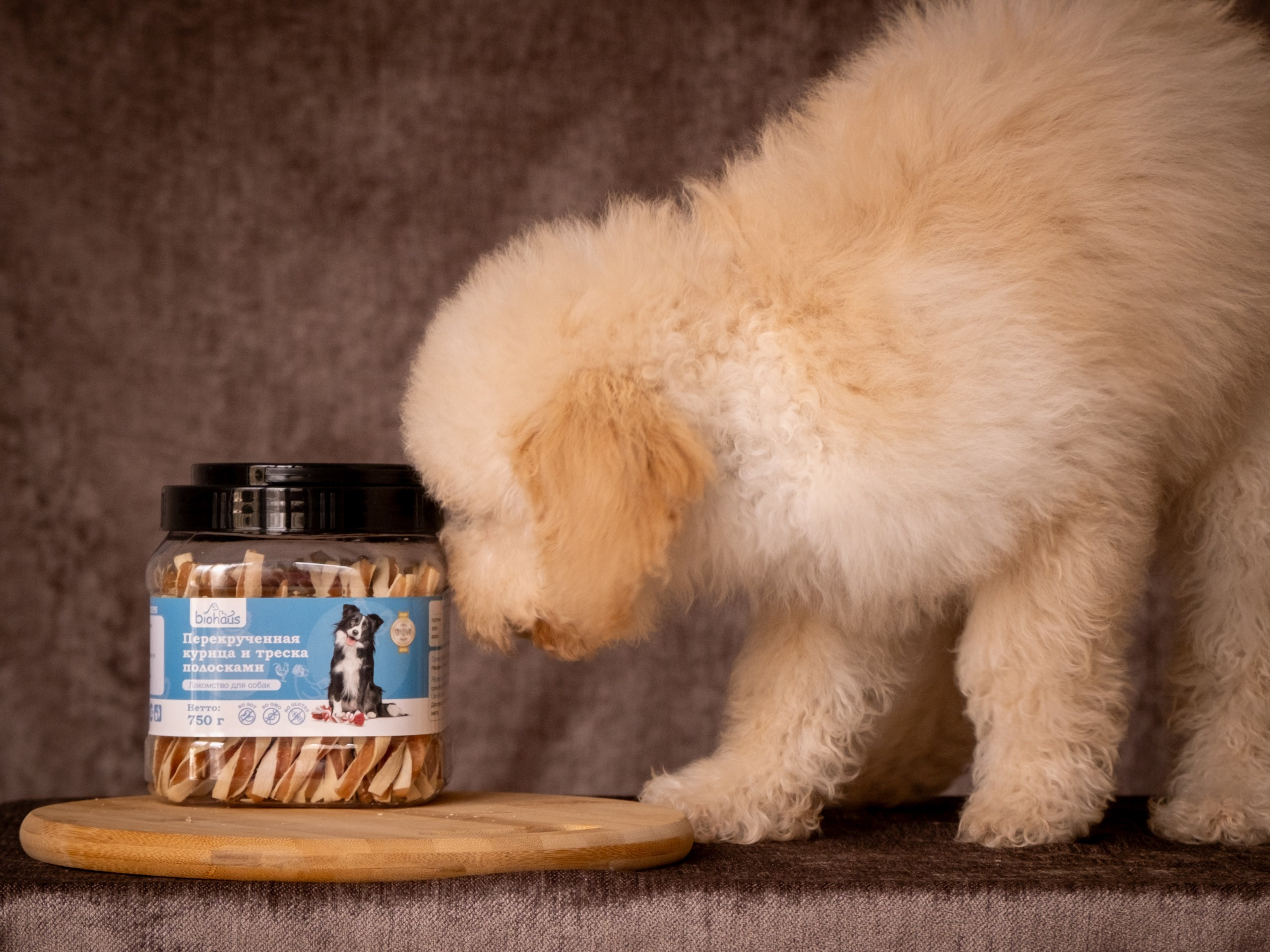 Съёмка для рекламы лакомства для собак (для Марии)!. Зоофотограф, фотограф животных в Москве и области Дина Дамоцева