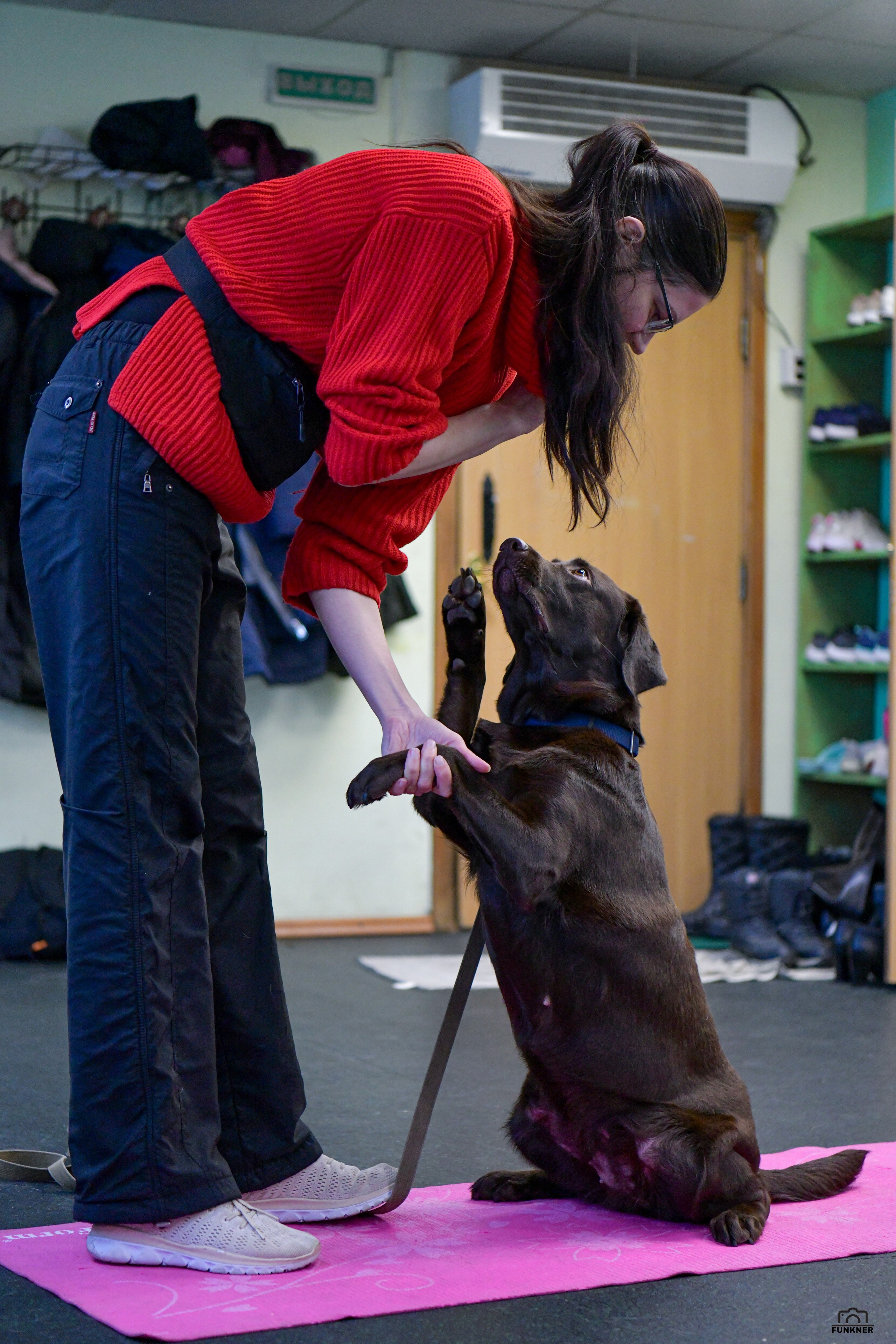 Кинологический клуб «Бодрый хвост». Свой взгляд через объектив