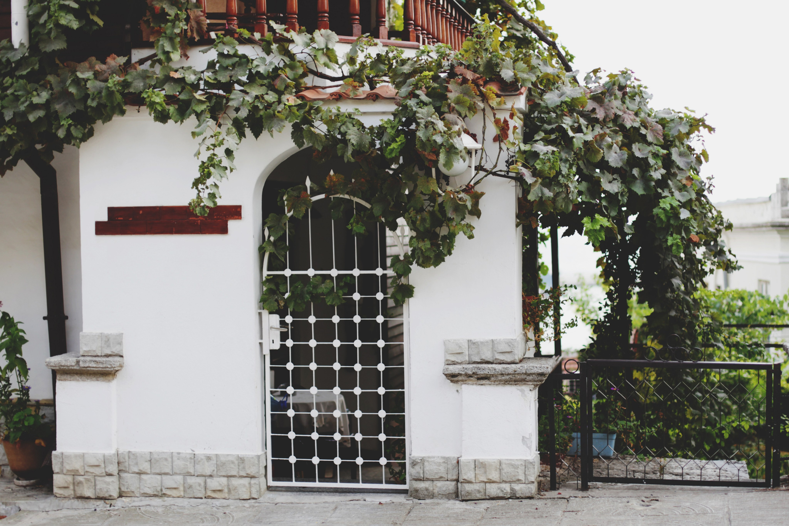 Болгария. Аня Степанова