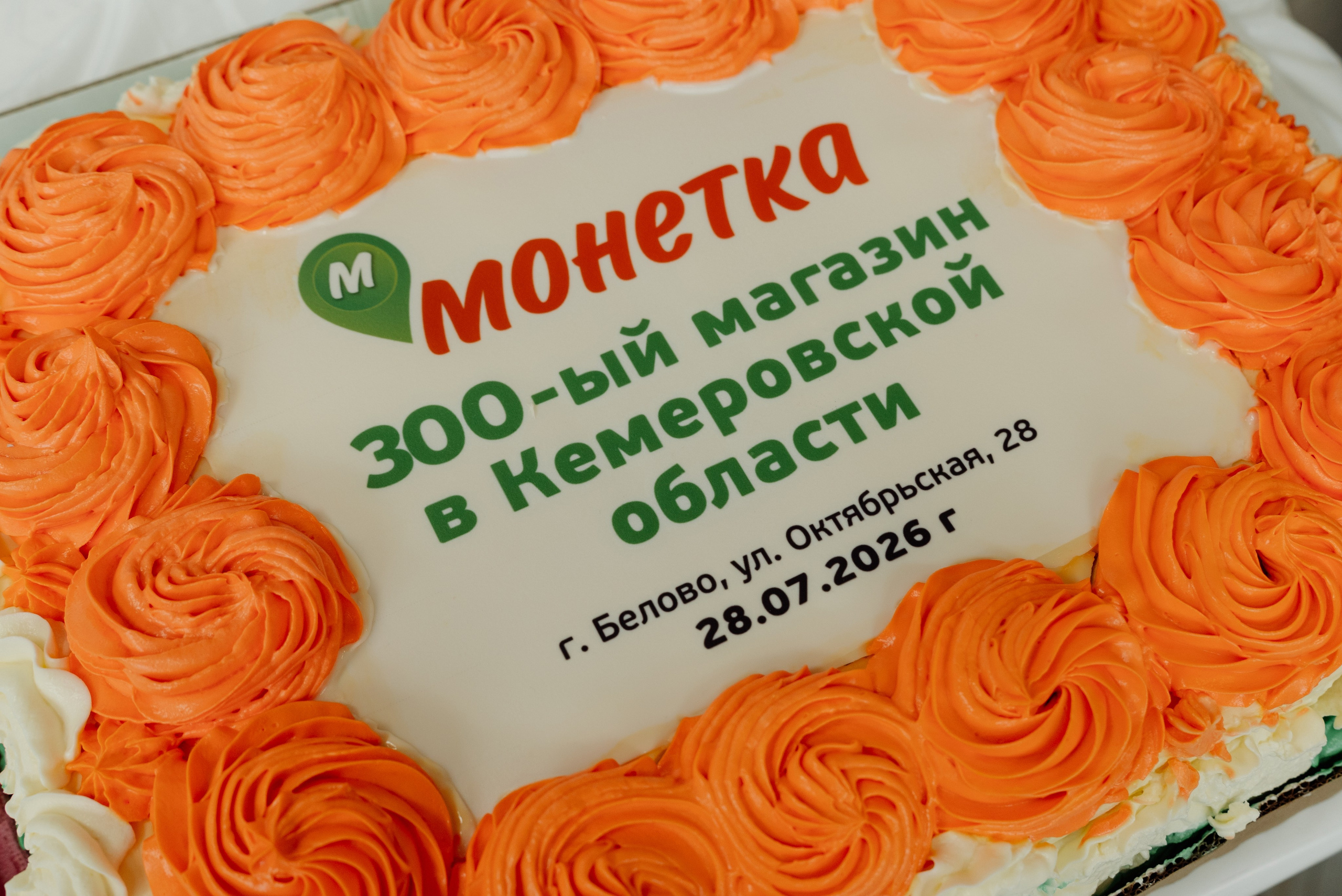 Открытие монетки. Фотограф Анастасия Фомина