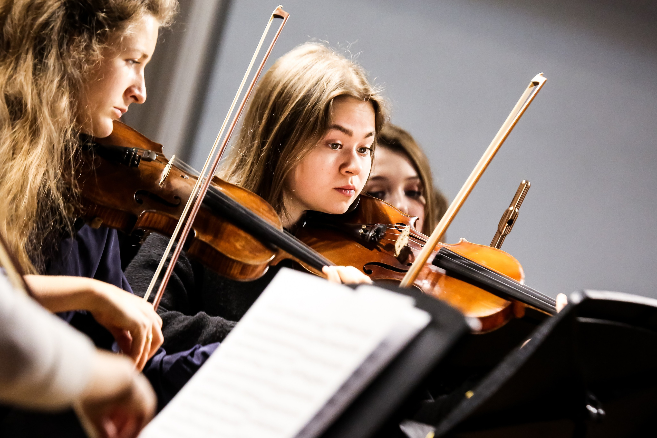 Концерт с Квартетом им. Бородина. Дарья Письменюк / Darya Leitstern — фотограф, музыкант, журналист, путешественник