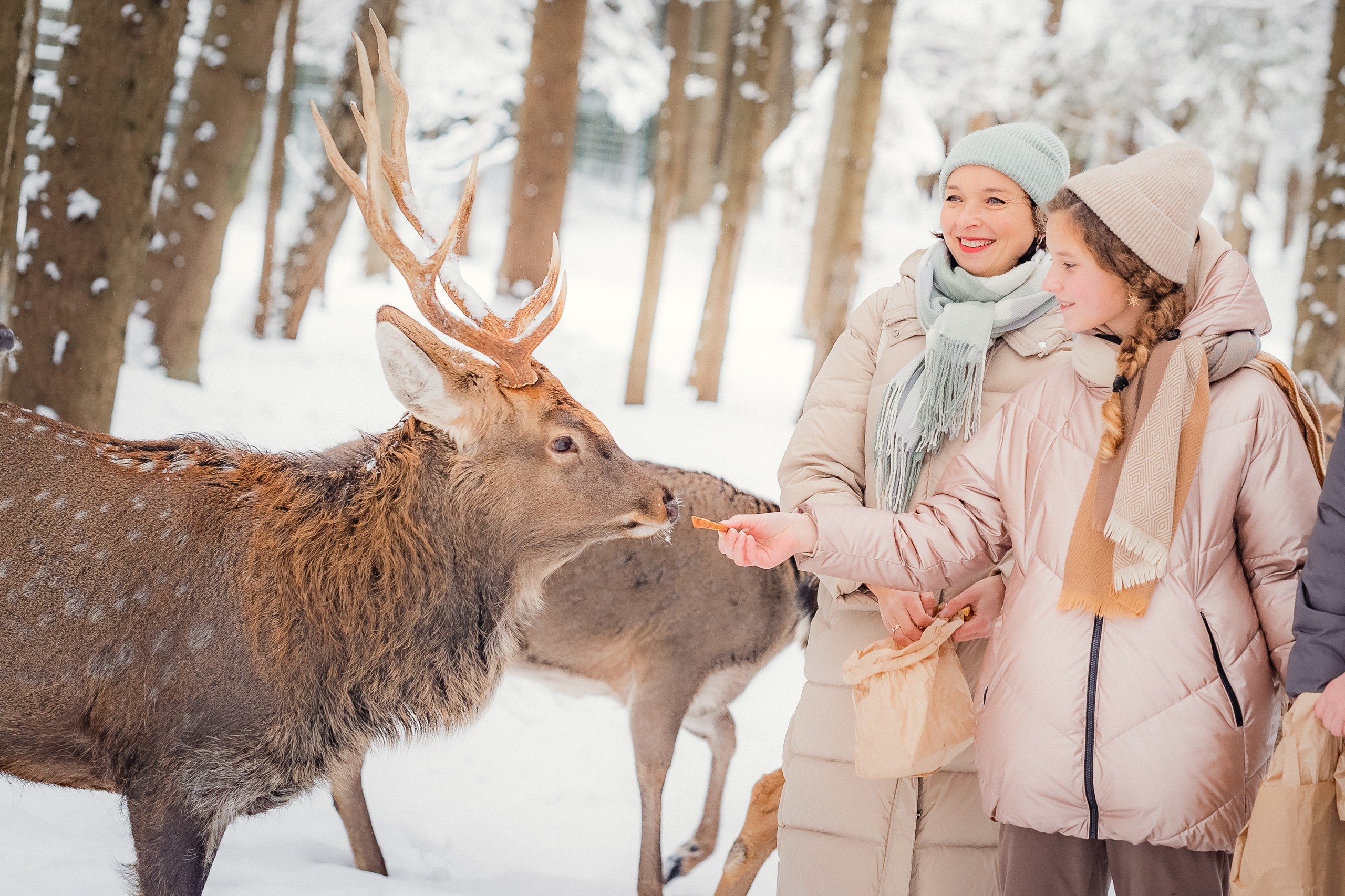 Фотосъемки на природе прогулки семейные фотопрогулки
