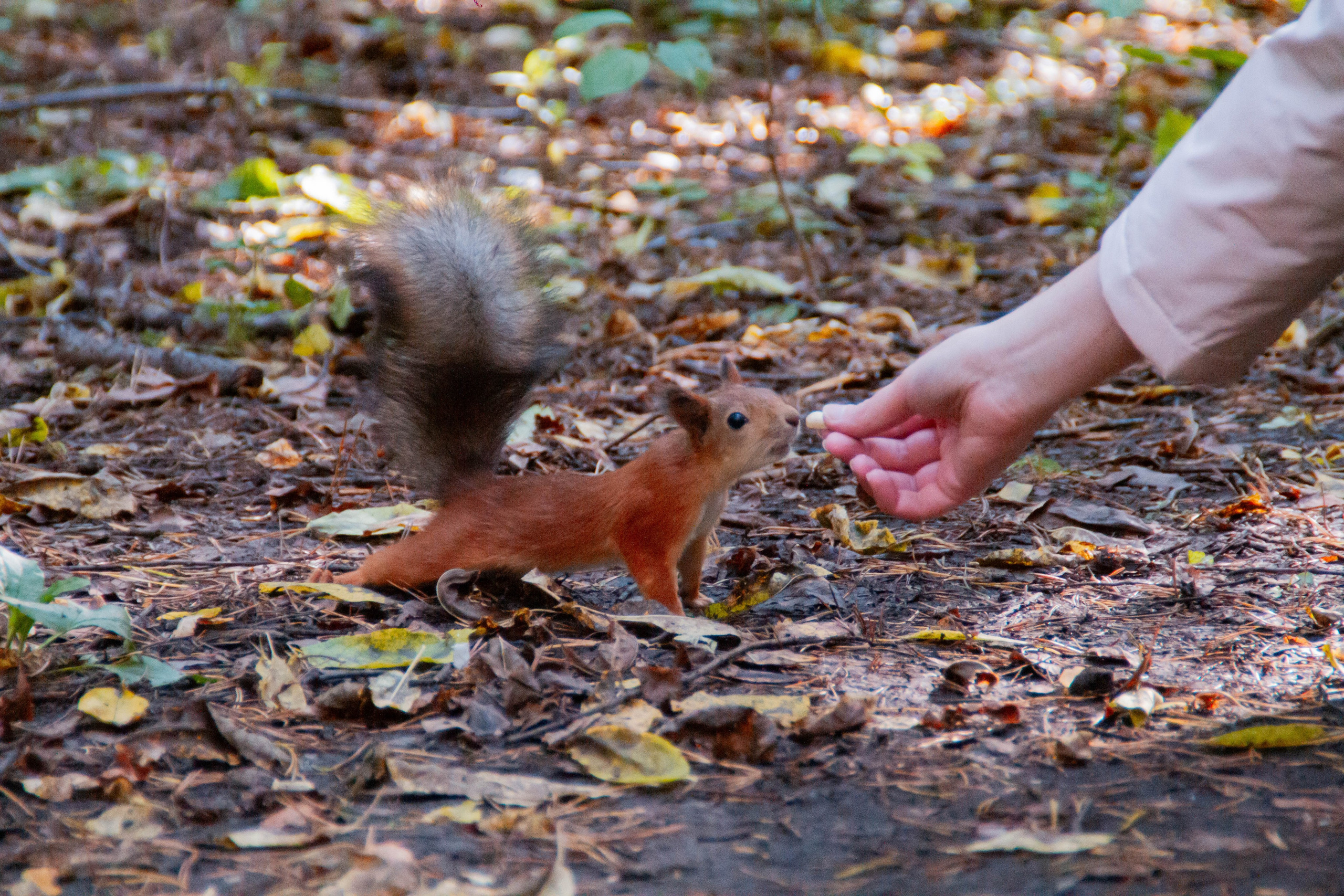 День здоровья в Екатеринбургской академии современного искусства 2025