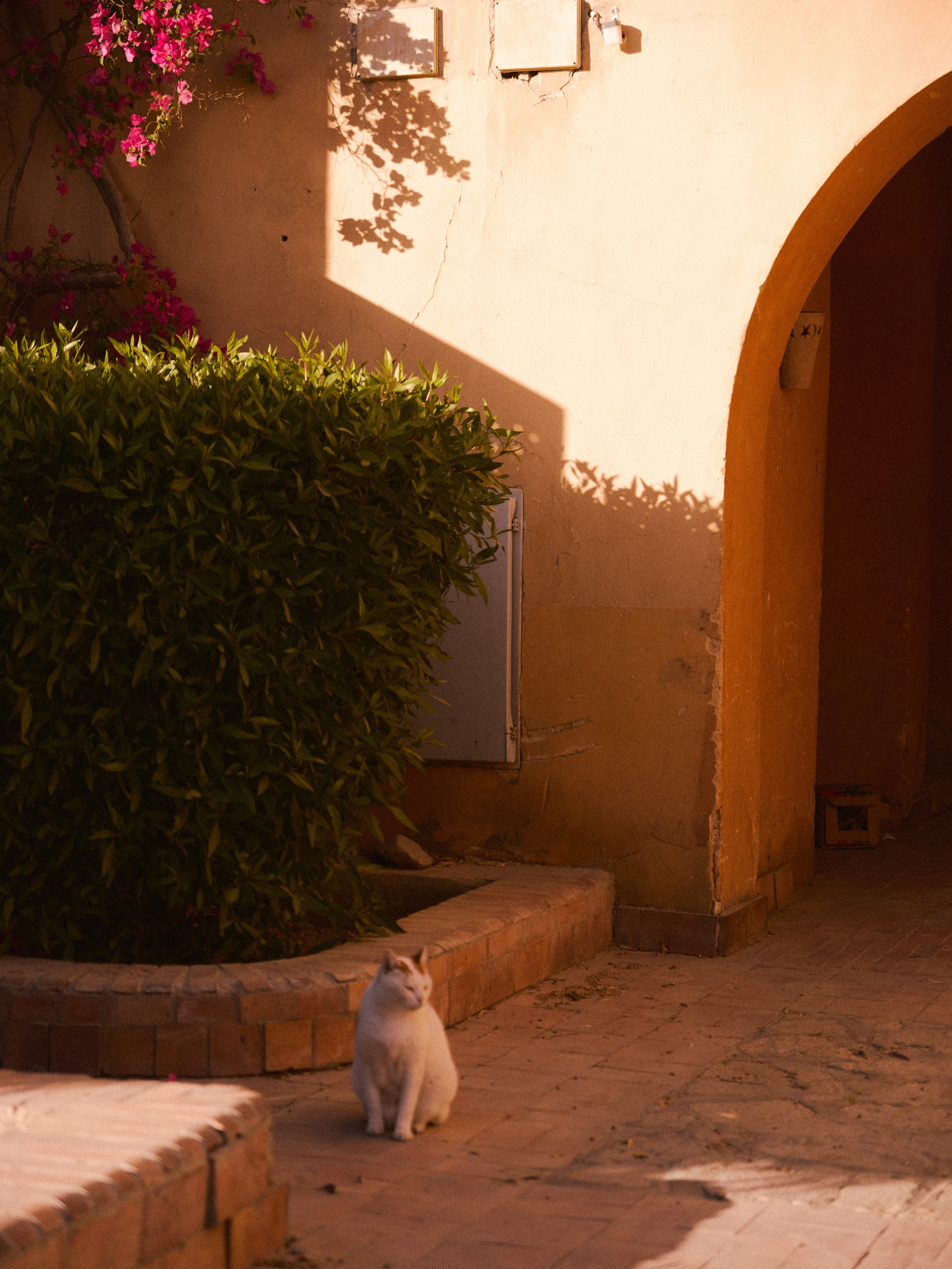 Природа сквозь. Jorgis Talè — photographer, kind person, teacher of arts and other mag