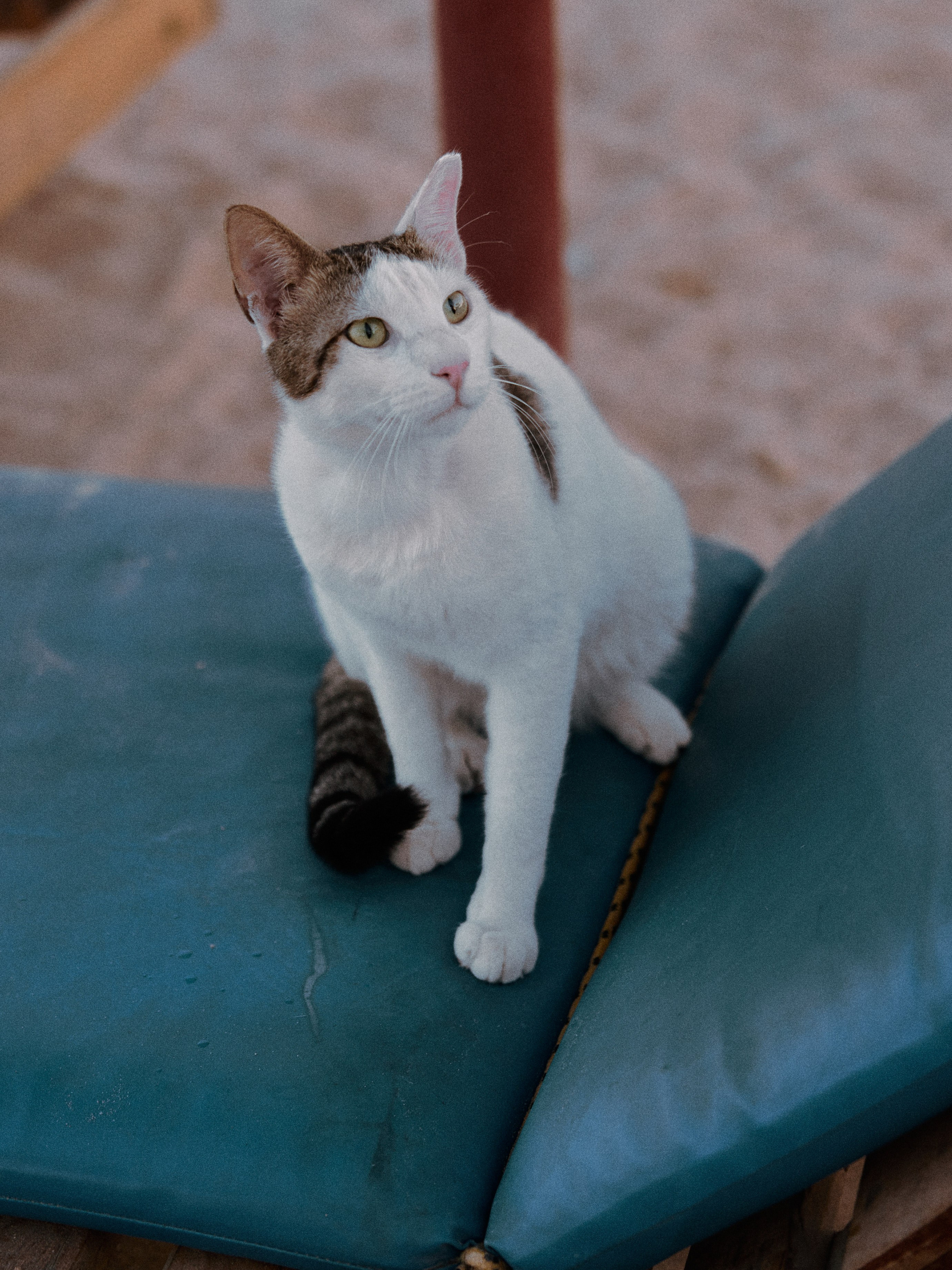 Другое 2. Jorgis Talè — photographer, kind person, teacher of arts and other mag