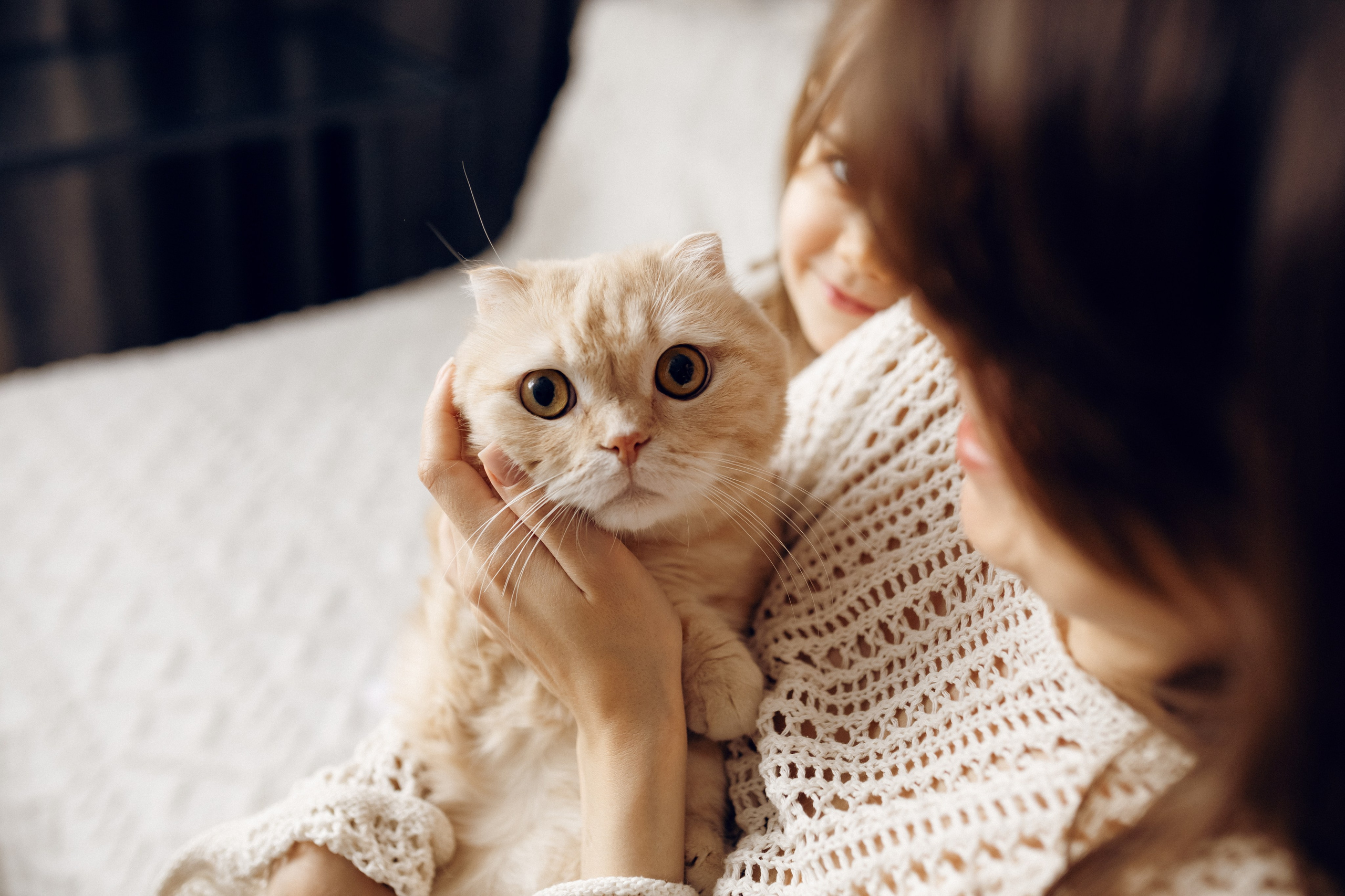 Семейная фотосессия дома. Семейный фотограф в Самаре Елена Ефимова