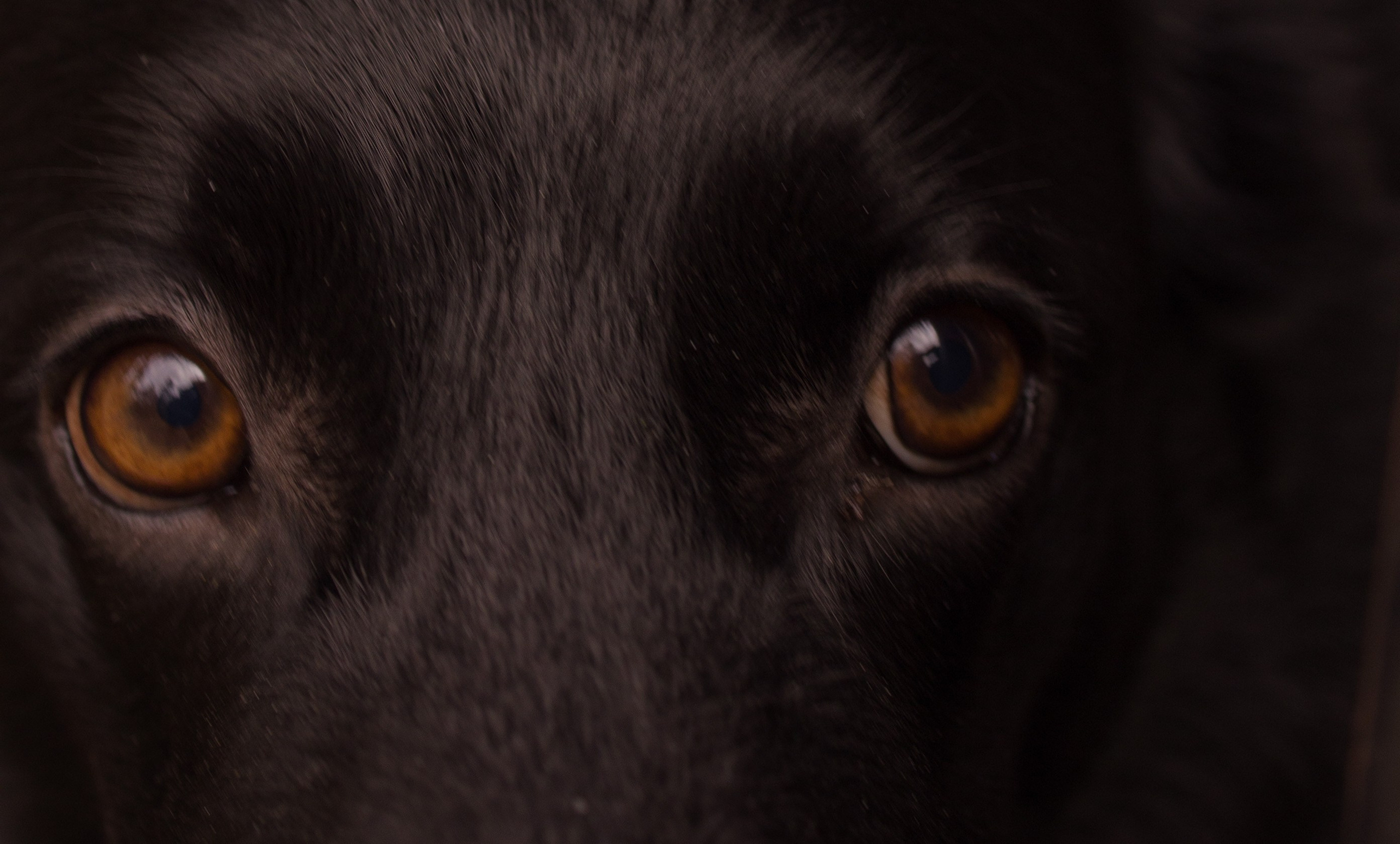 Даша и Дэни. Художественная фотография