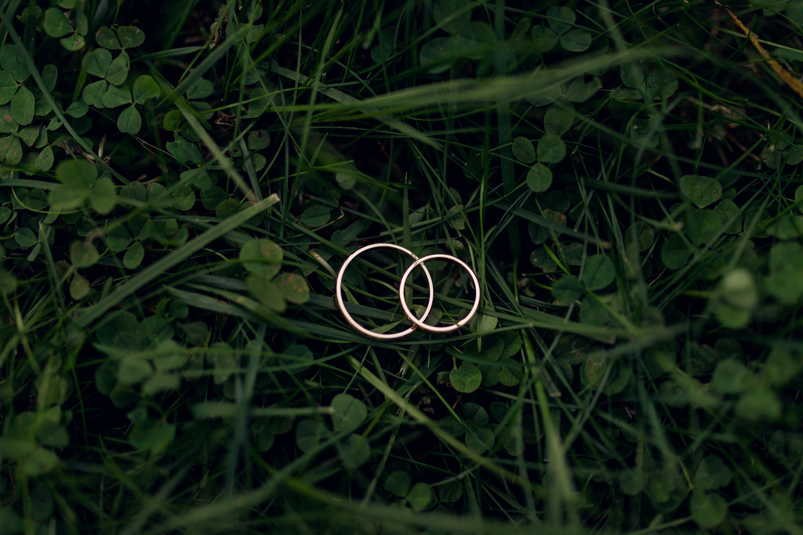 Свадьба 23.09.23 Суздаль. Индивидуальный, семейный и свадебный фотограф