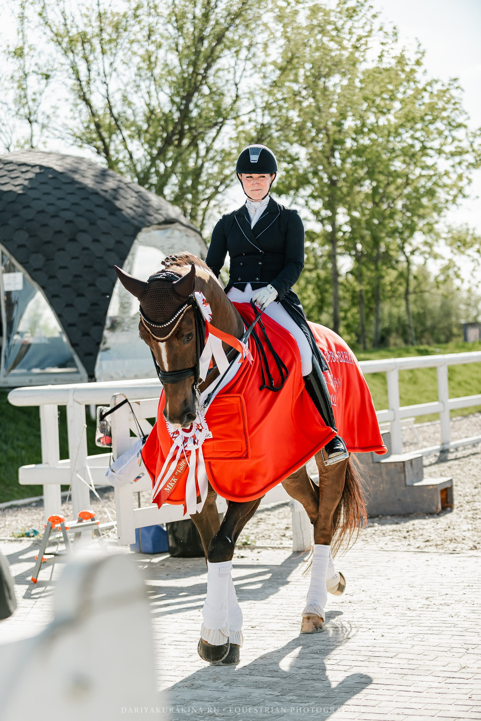 РЕПОРТАЖ МКК ВОЛЬТ «LA TULIPS». Конный фотограф Куракина Дарья • Фотосессии с лошадьми