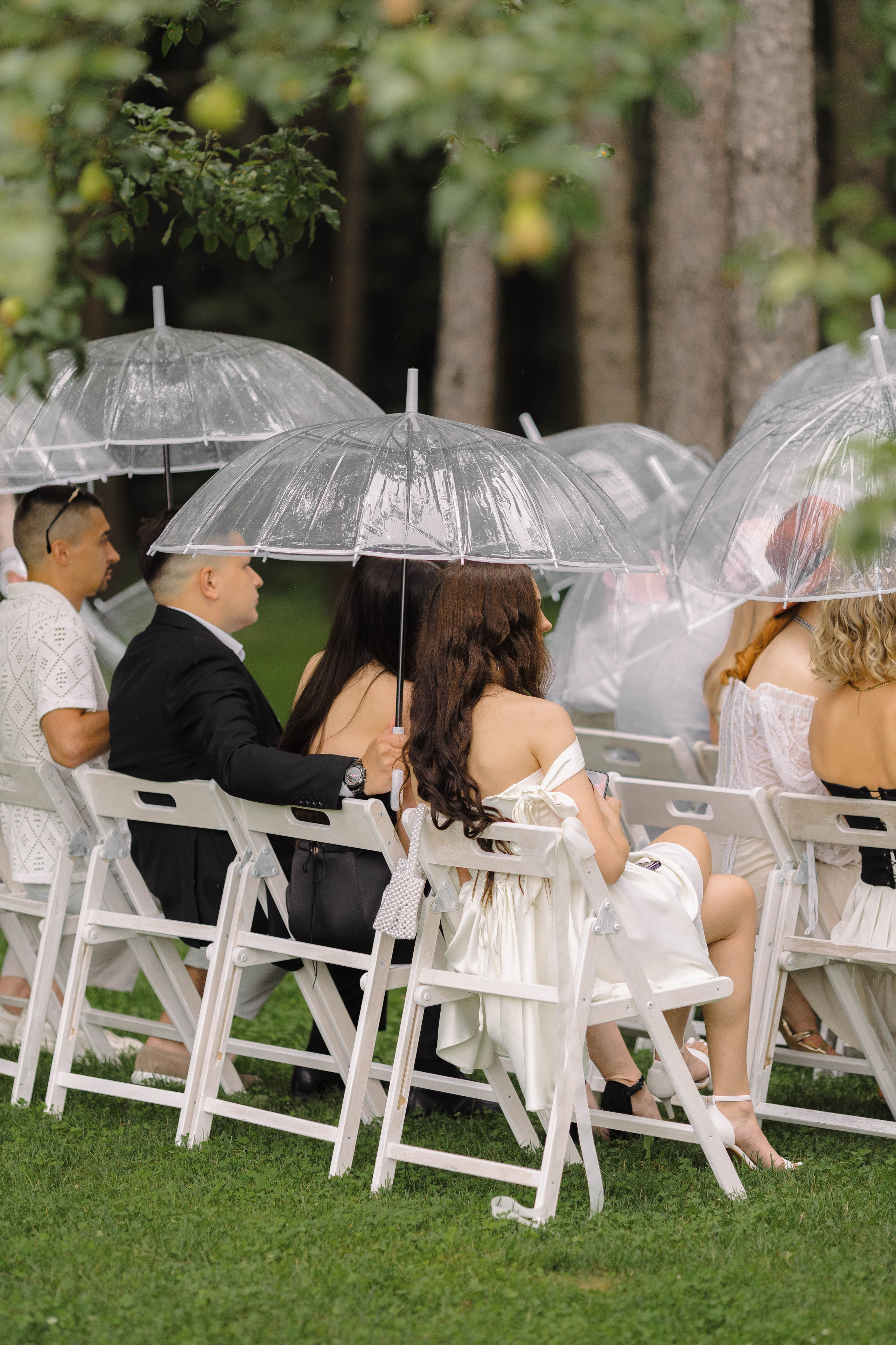 Зеленый сад