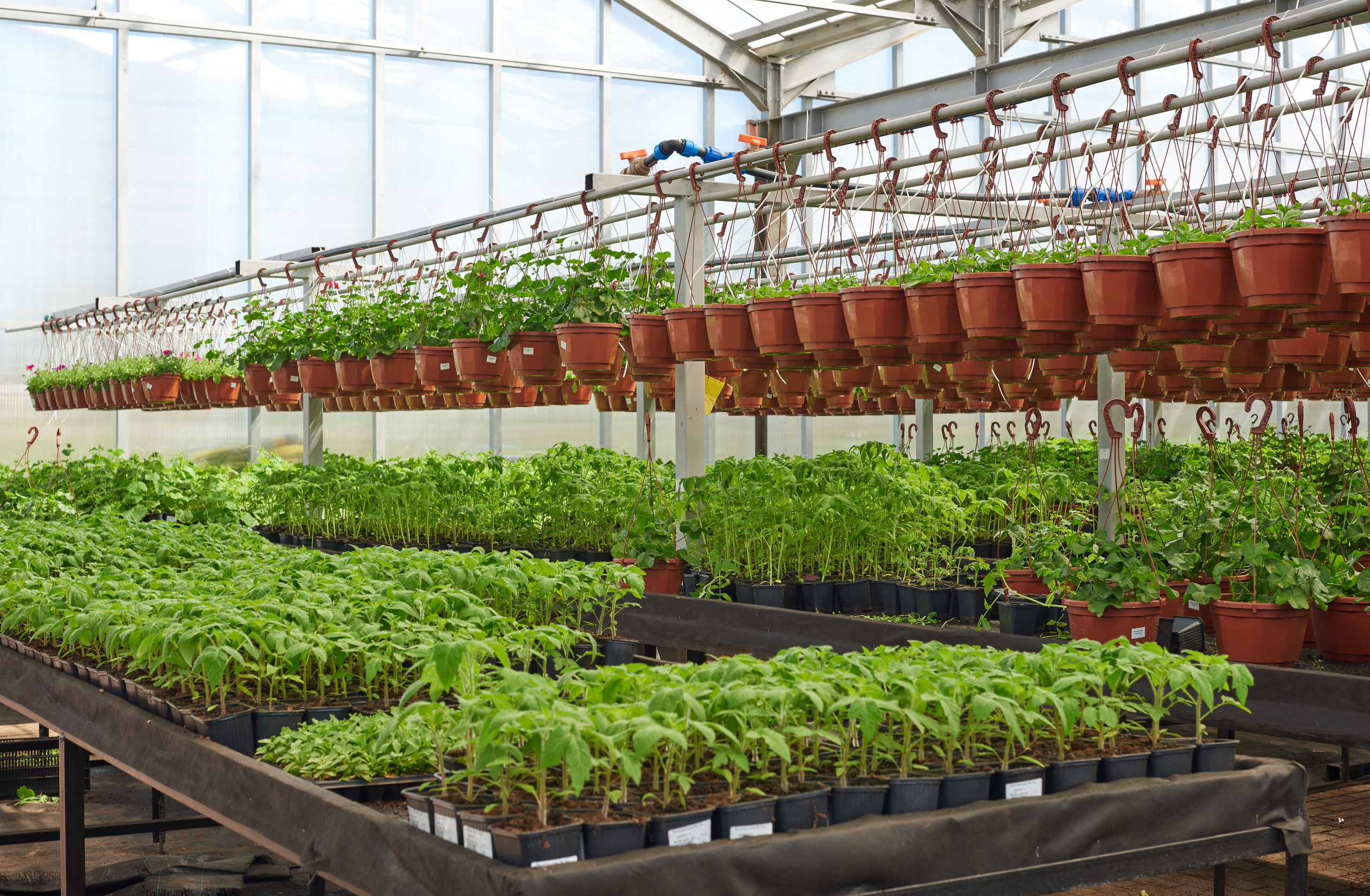 INDUSTRIAL. Www.apowerstudio.com