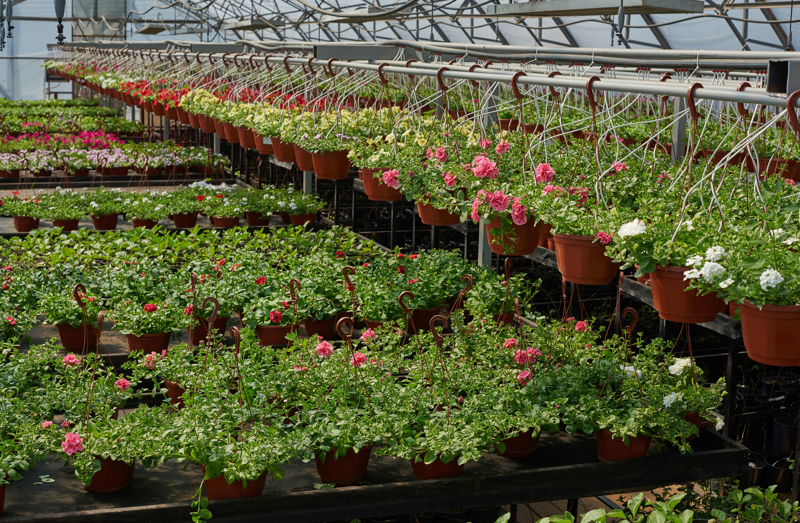 INDUSTRIAL. Www.apowerstudio.com