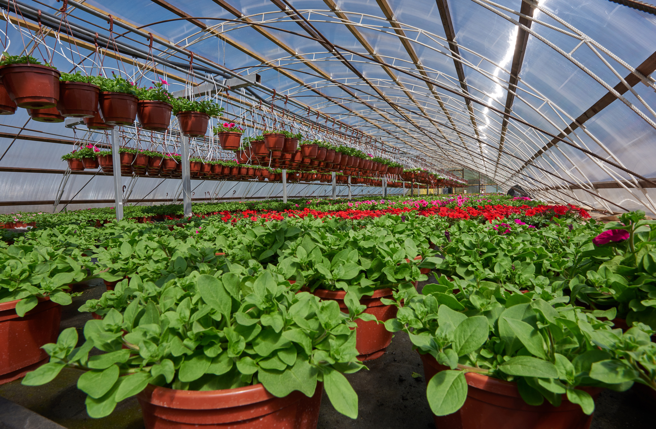 INDUSTRIAL. Www.apowerstudio.com