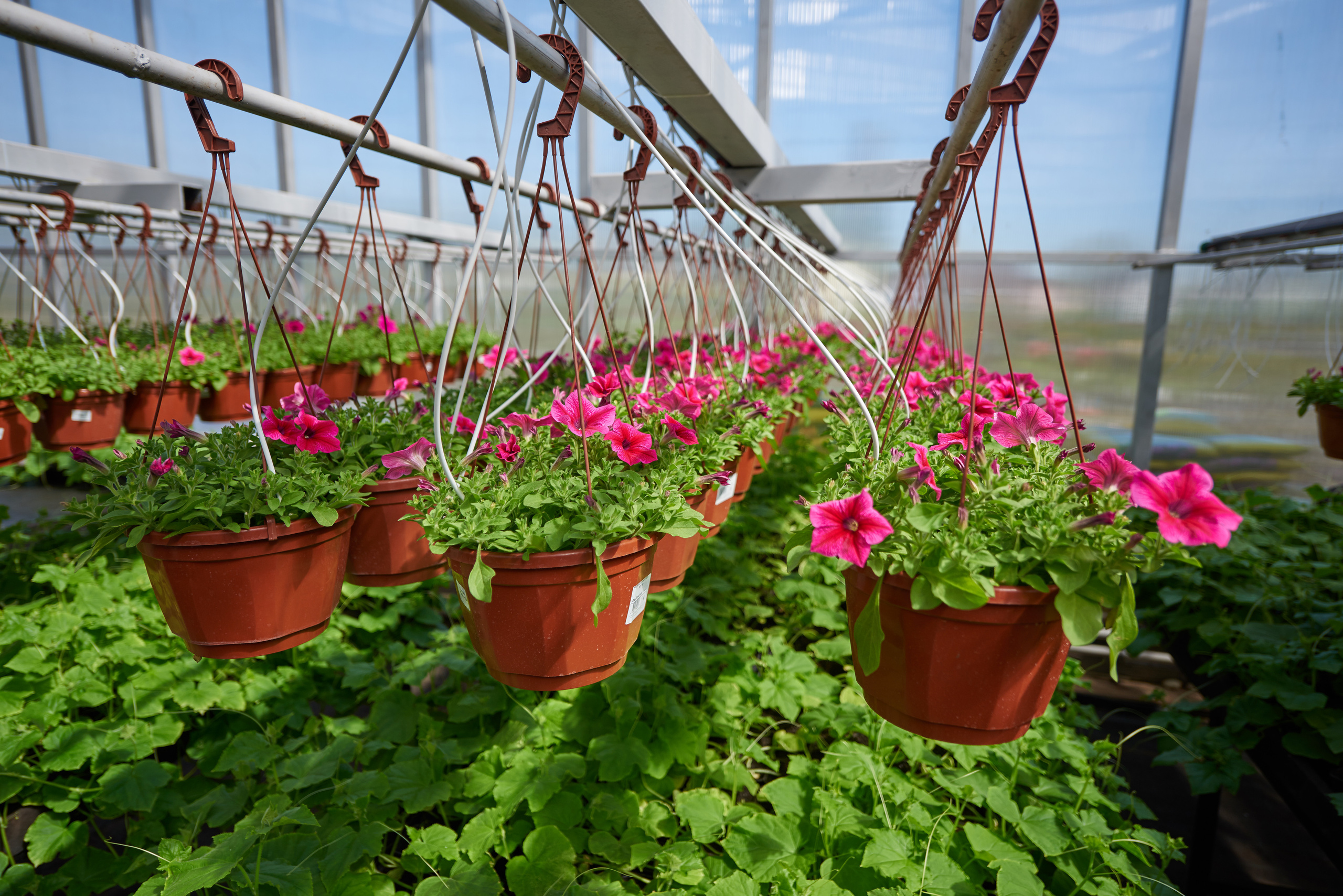 INDUSTRIAL. Www.apowerstudio.com