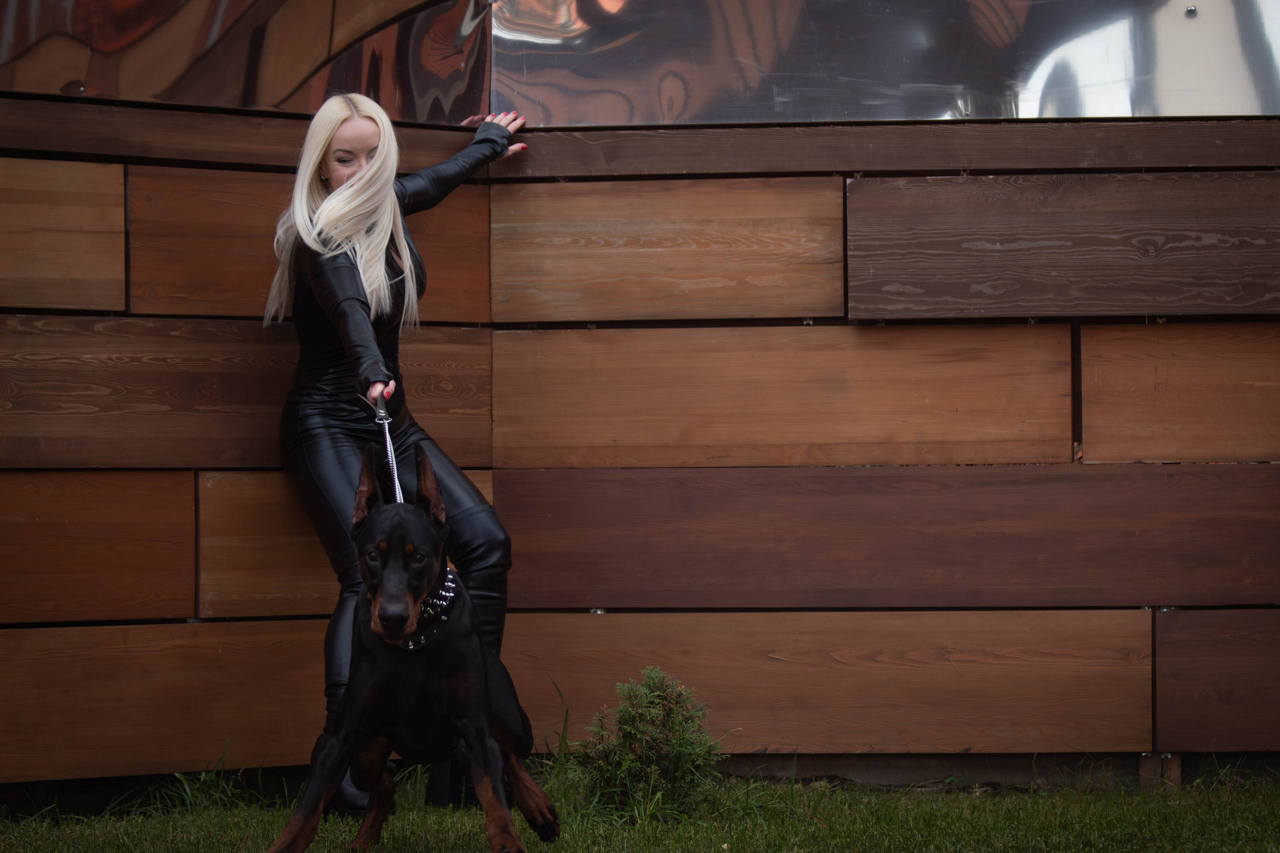 Фотосессии с животными Тула. Фотограф анималист — Тула, Москва