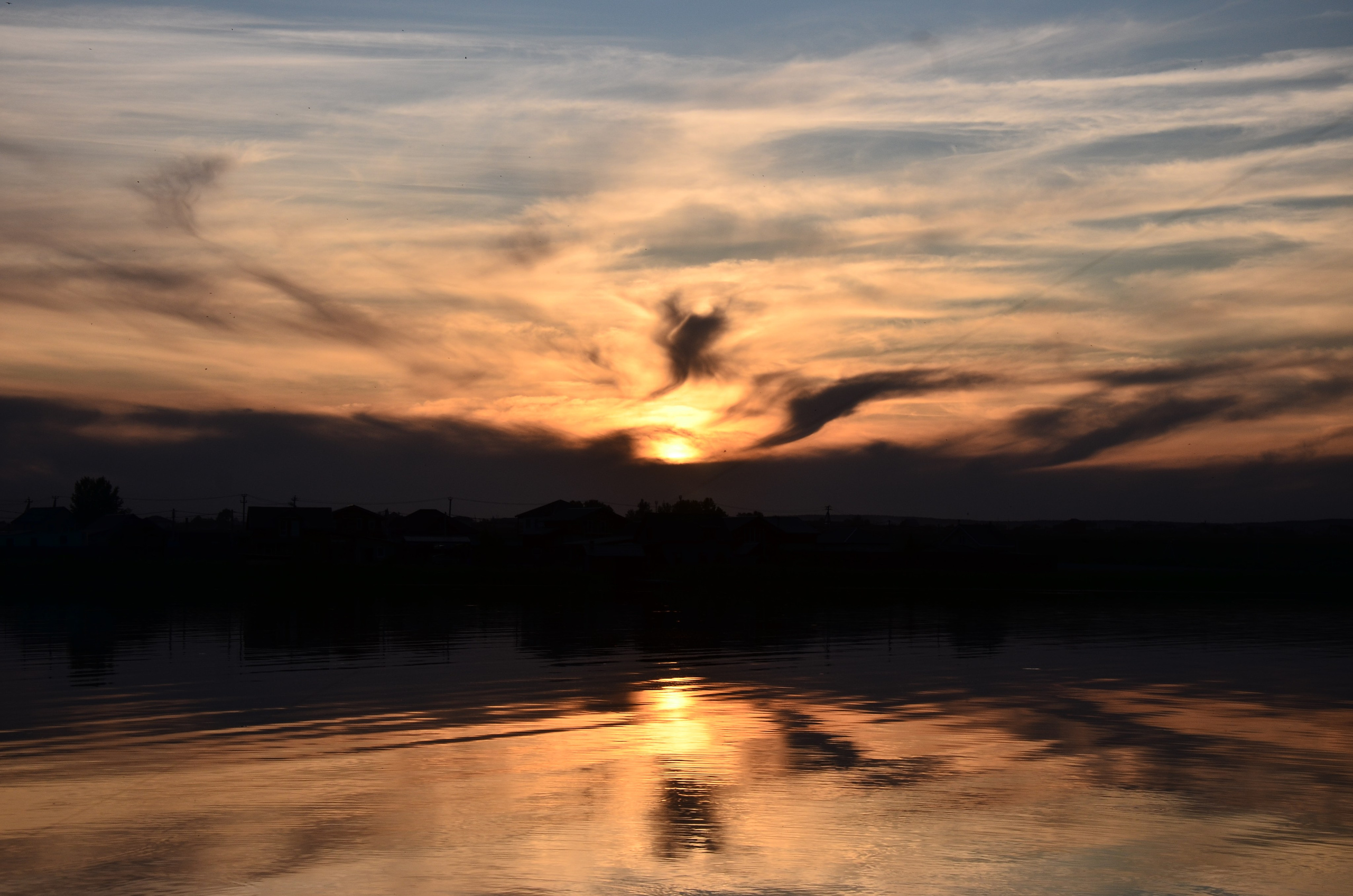 Дары природы. Фотограф viktor viktor