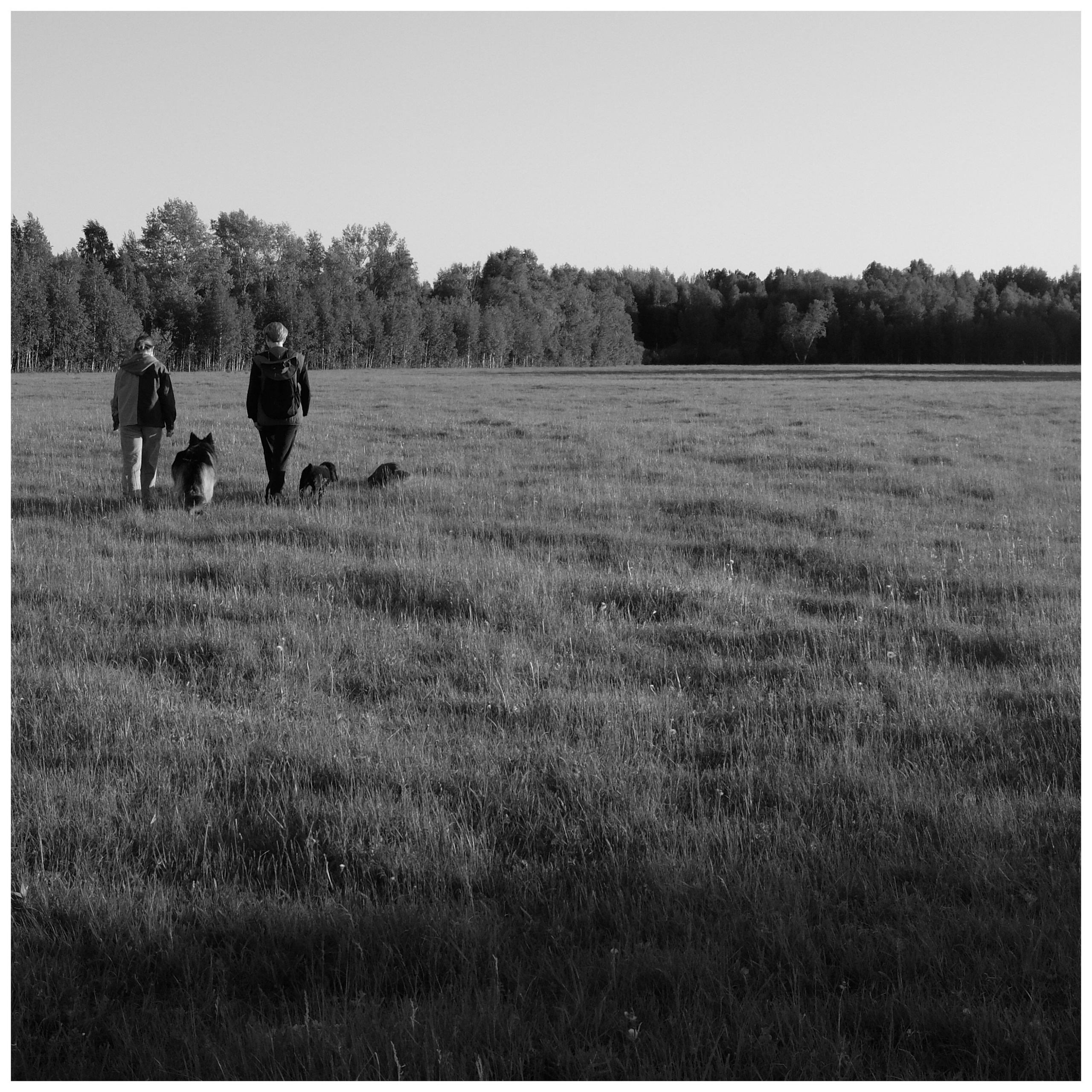 Промежуточные моменты (2022)