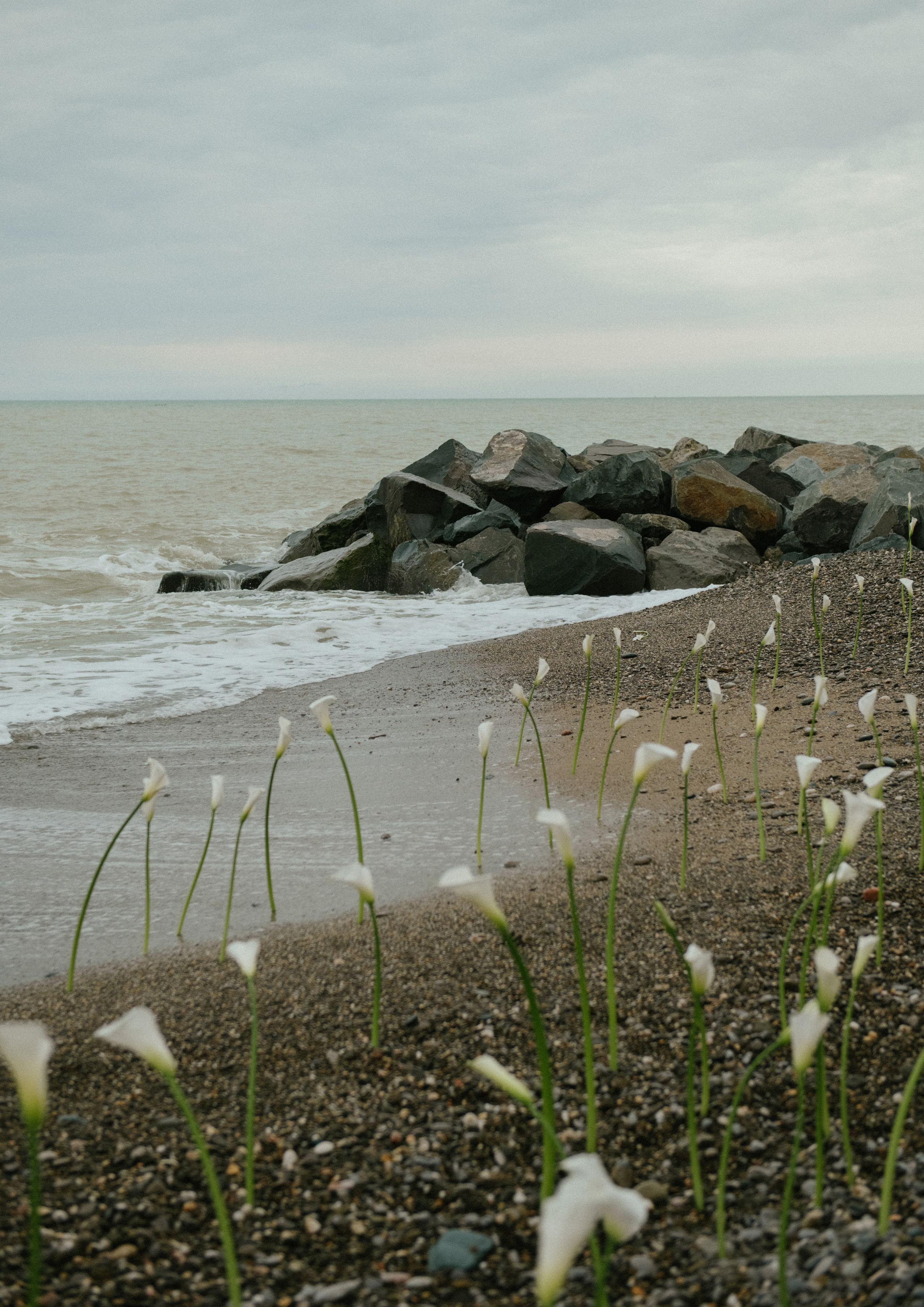 Никита и Анастасия (с.Николаевка). Свадебный, женский, семейный фотограф в Севастополе Юлия Мошенко
