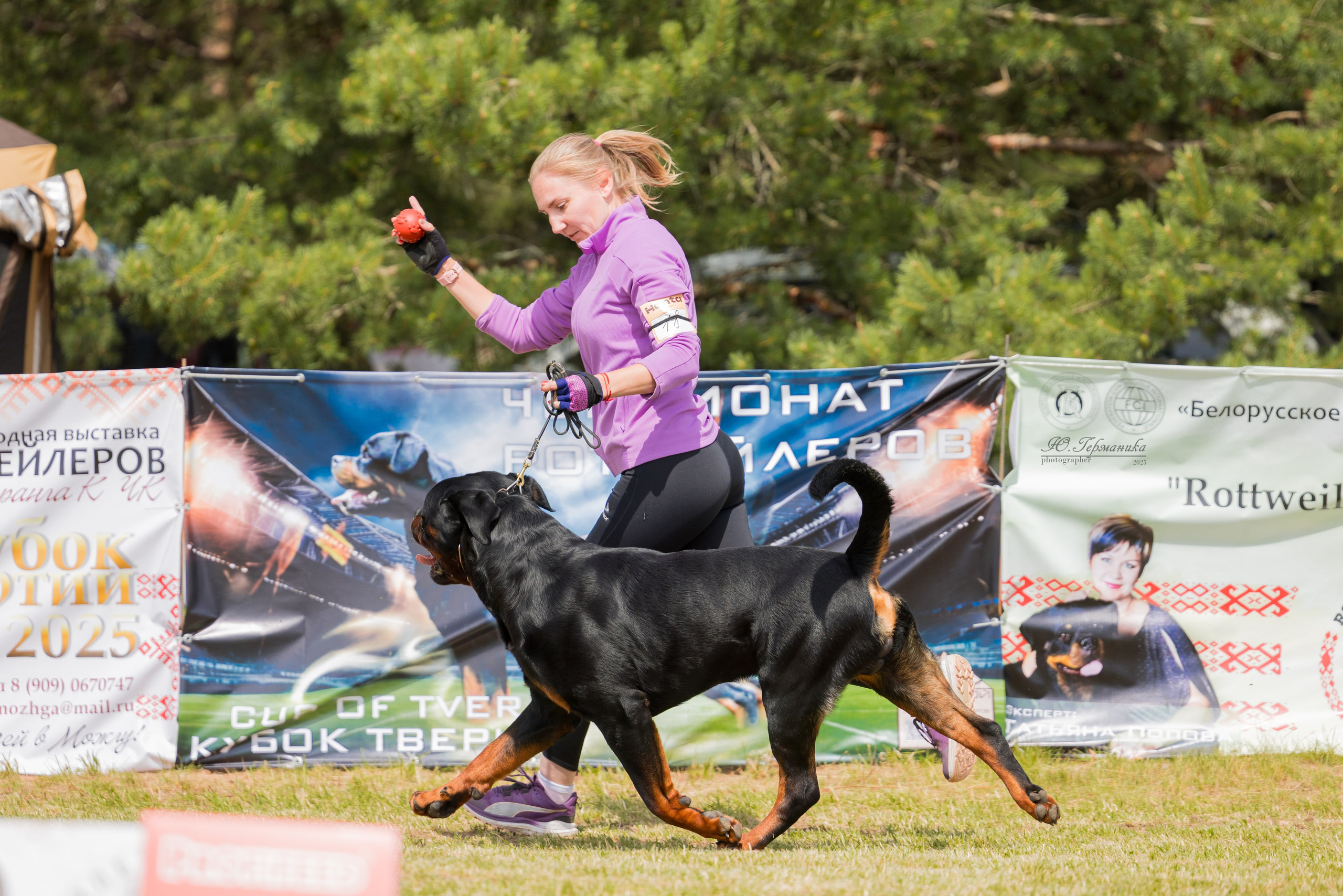 Тверь ротвейлеры 5-6.07.2025. Фотограф-анималист Юлия Германика