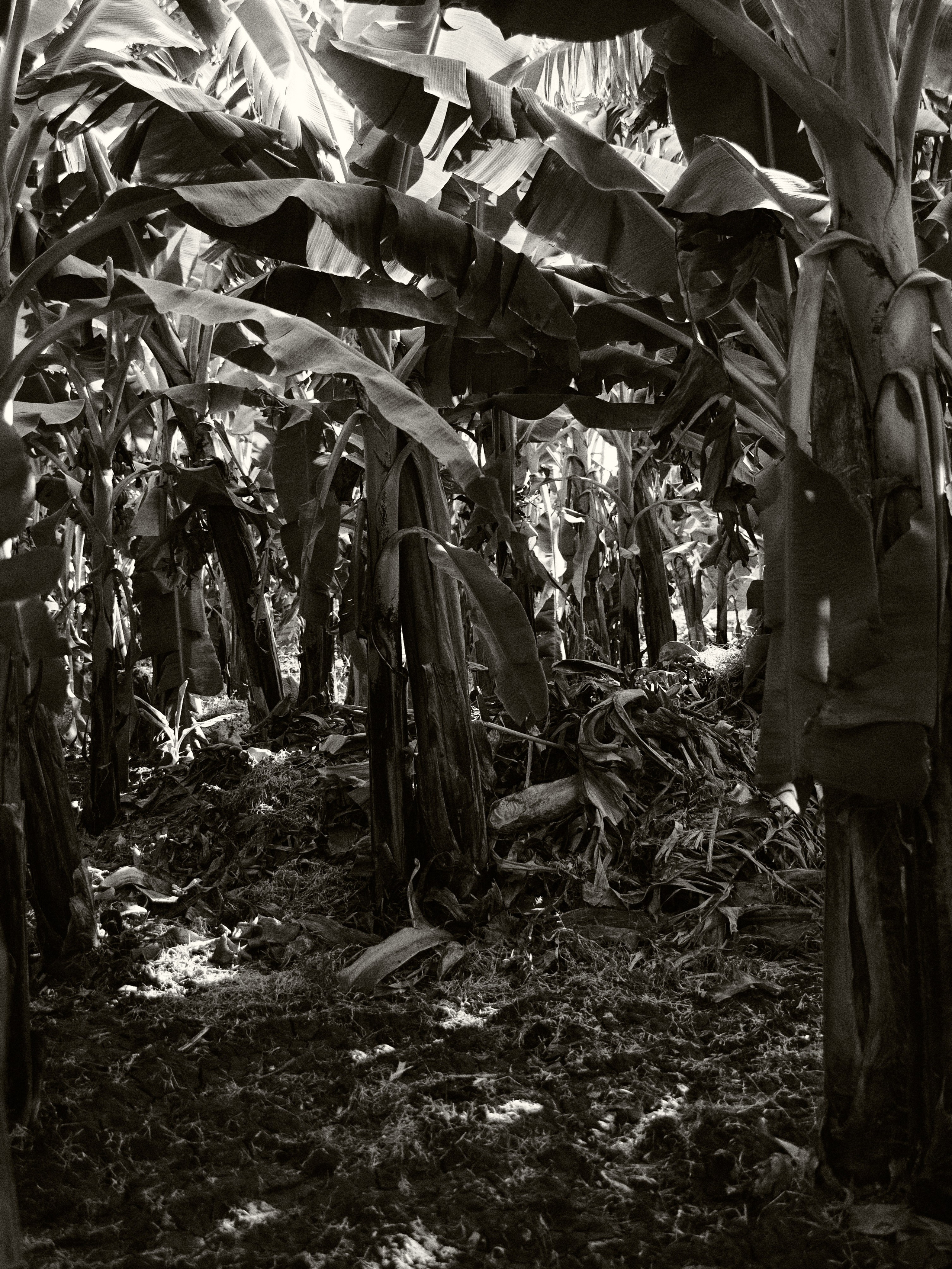 B&W. Jorgis — фотограф в Хургаде / обучение фотографии