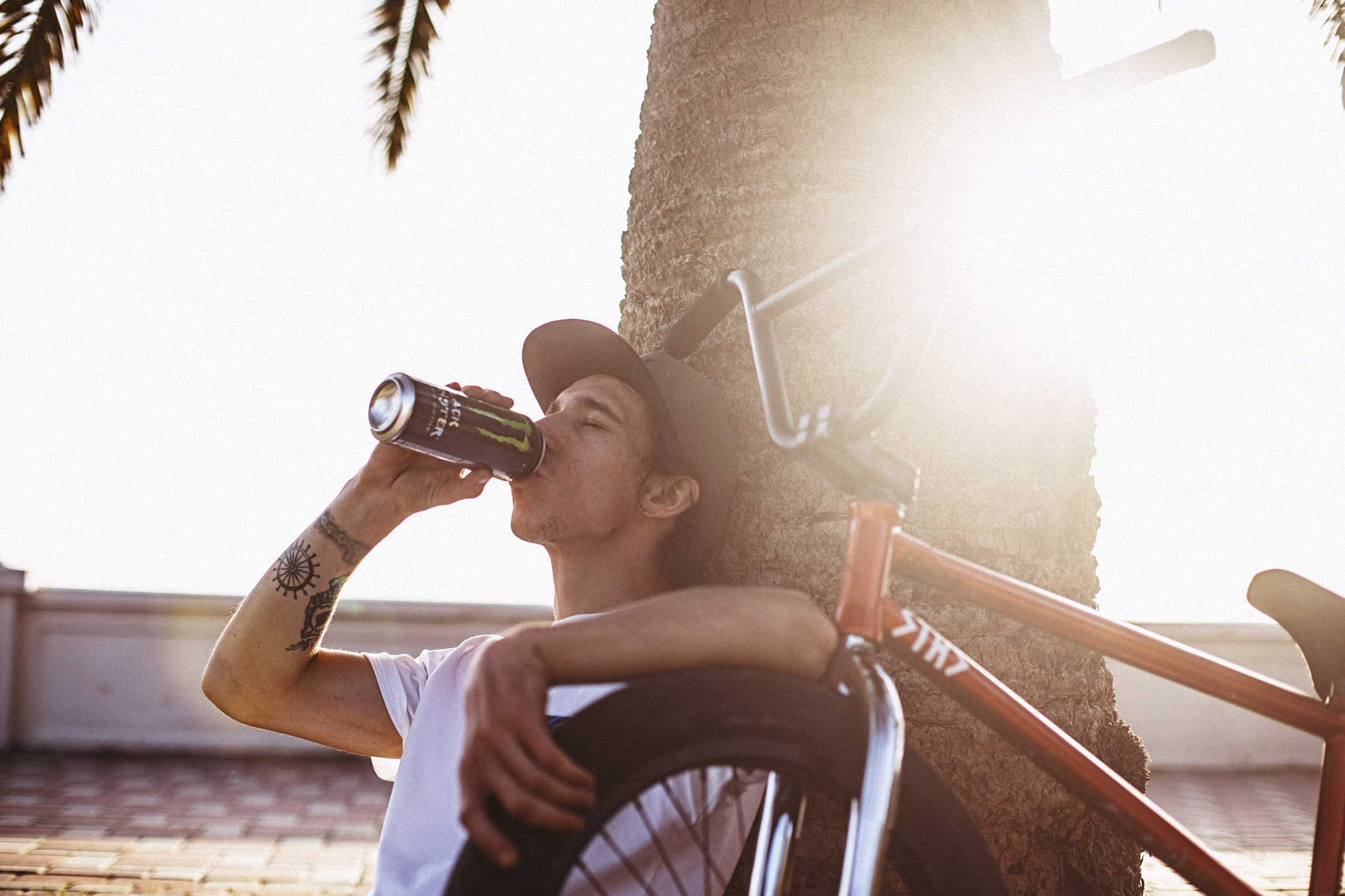 Lifestyle. Bivol images