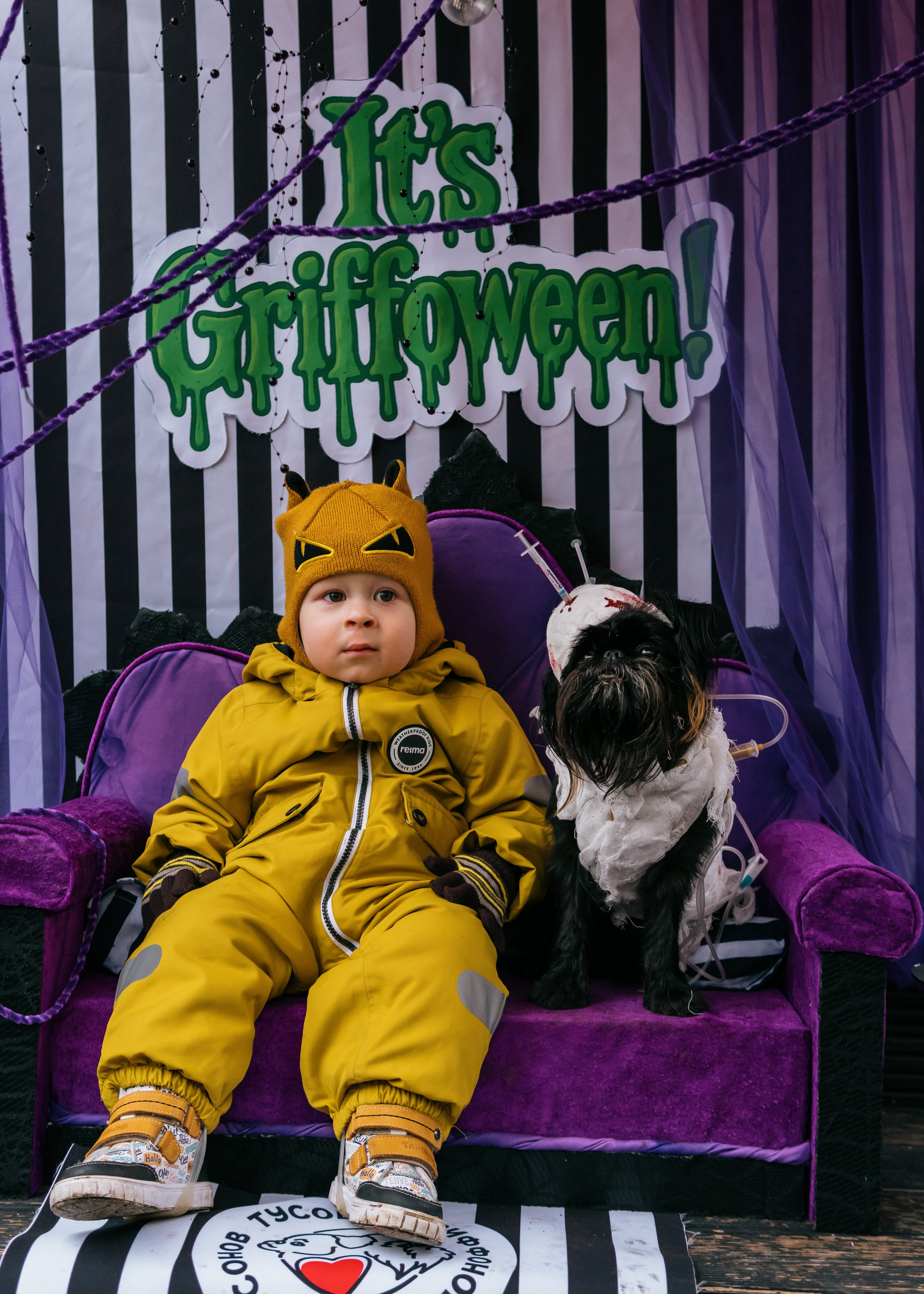 Тематическая встреча породников «Griffween». Фотограф-анималист Ксения Воробьева, Москва