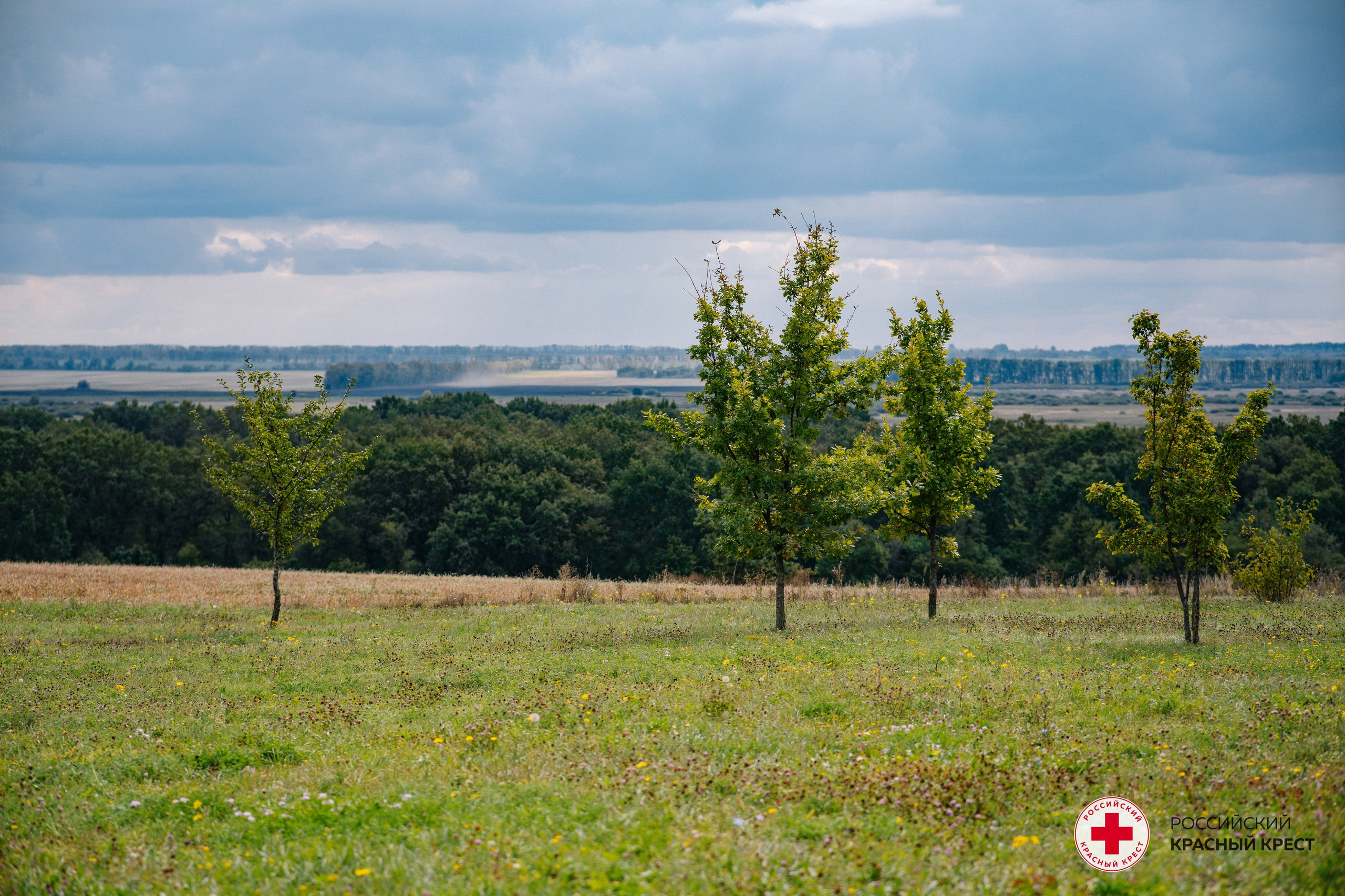 Красный крест | Дегас, медвежья берлога. Фотограф в Воронеже Ольга Космодемьянская