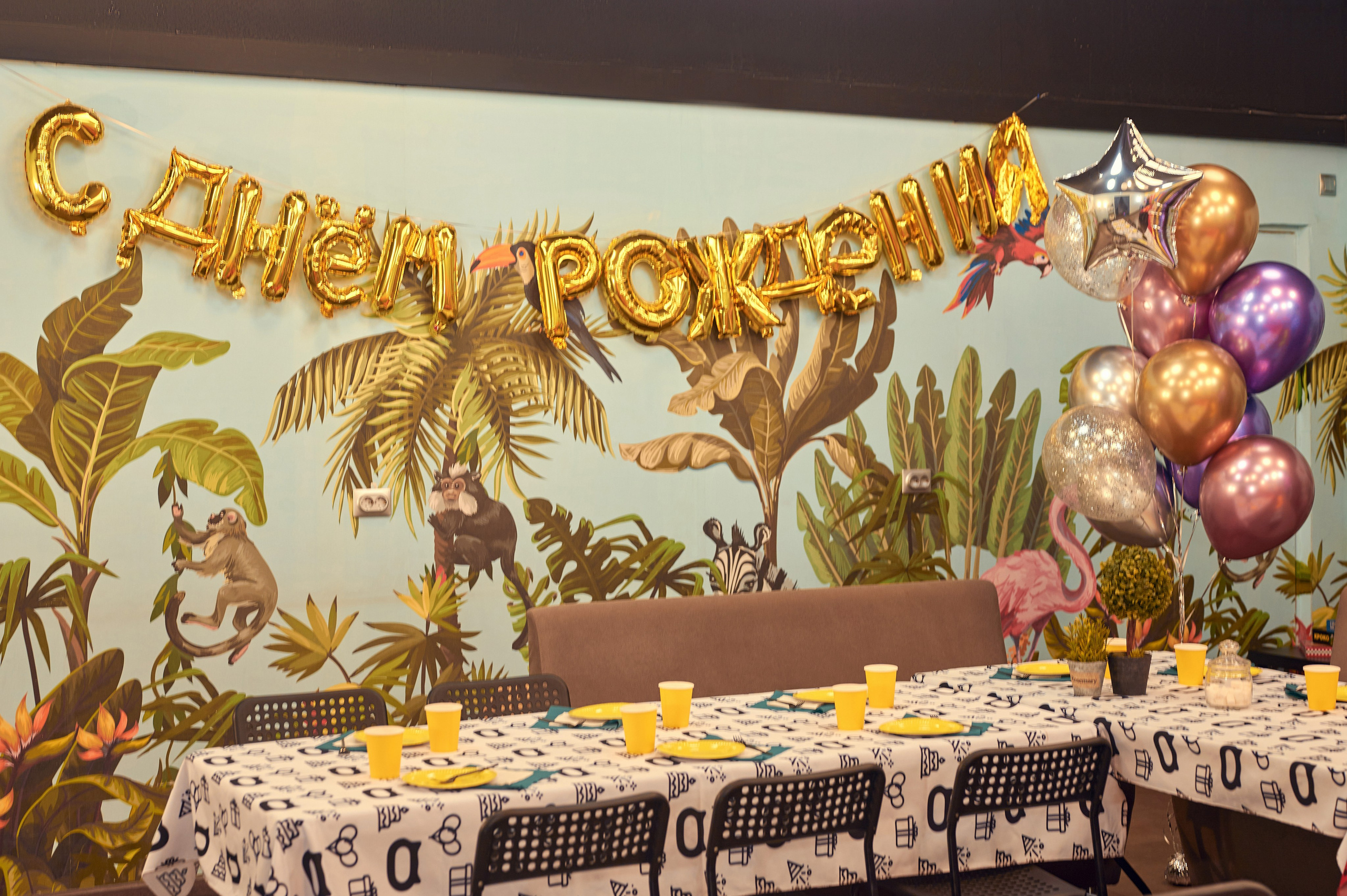 Чеширский Коd — 5 локаций. Фотограф Яковлев Роман — Красноярск