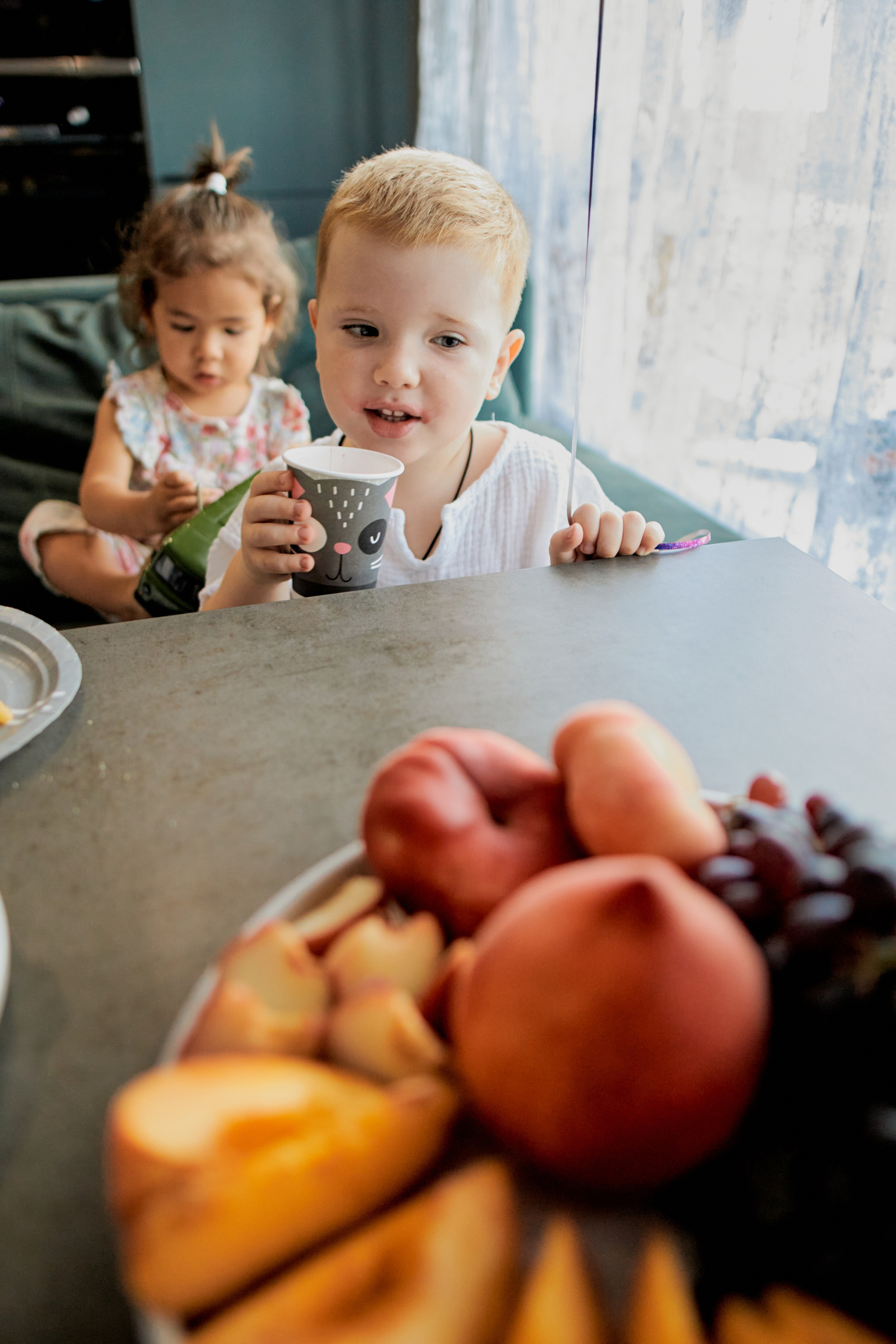 Три кота. Фотограф Москва