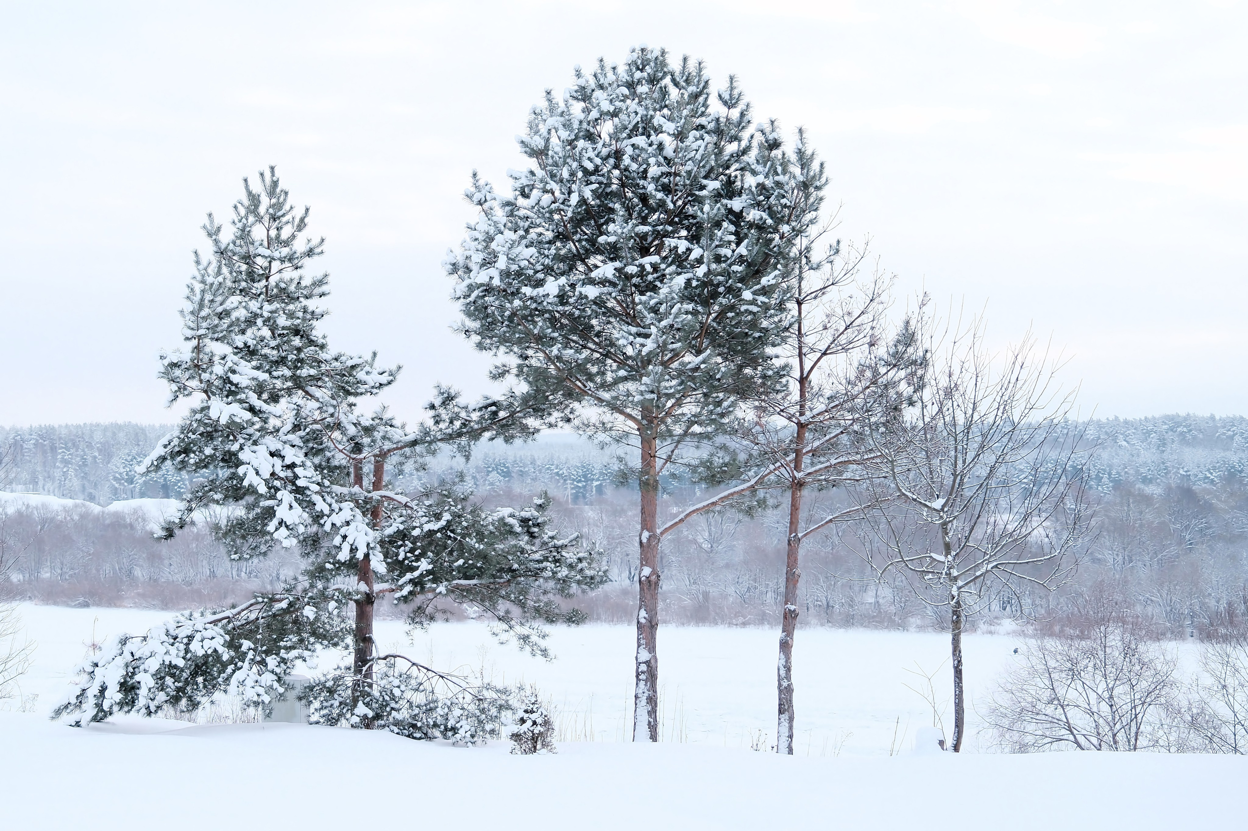 Фотоистории. Belugin Art