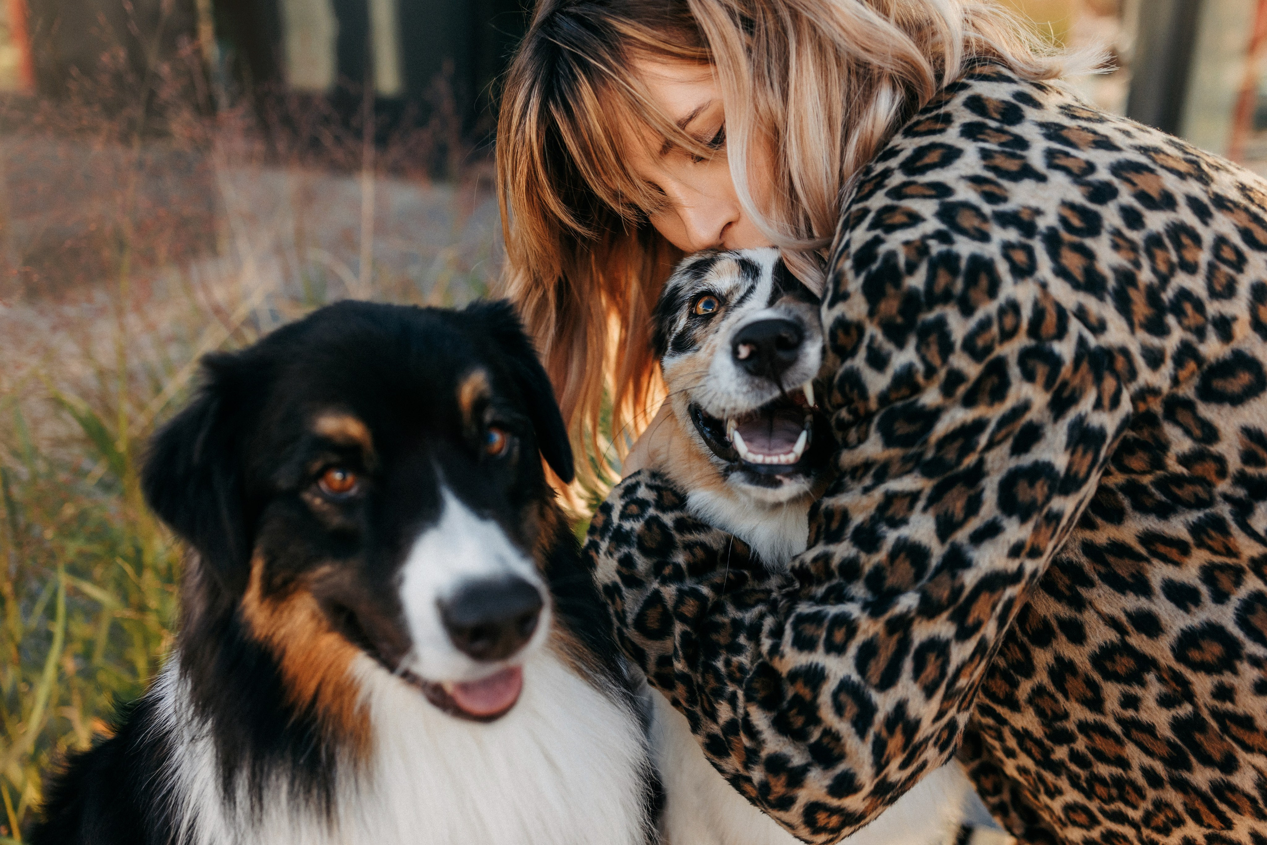 Аня, Чарли и Ева. Фотограф-анималист Елена Радченко, Москва