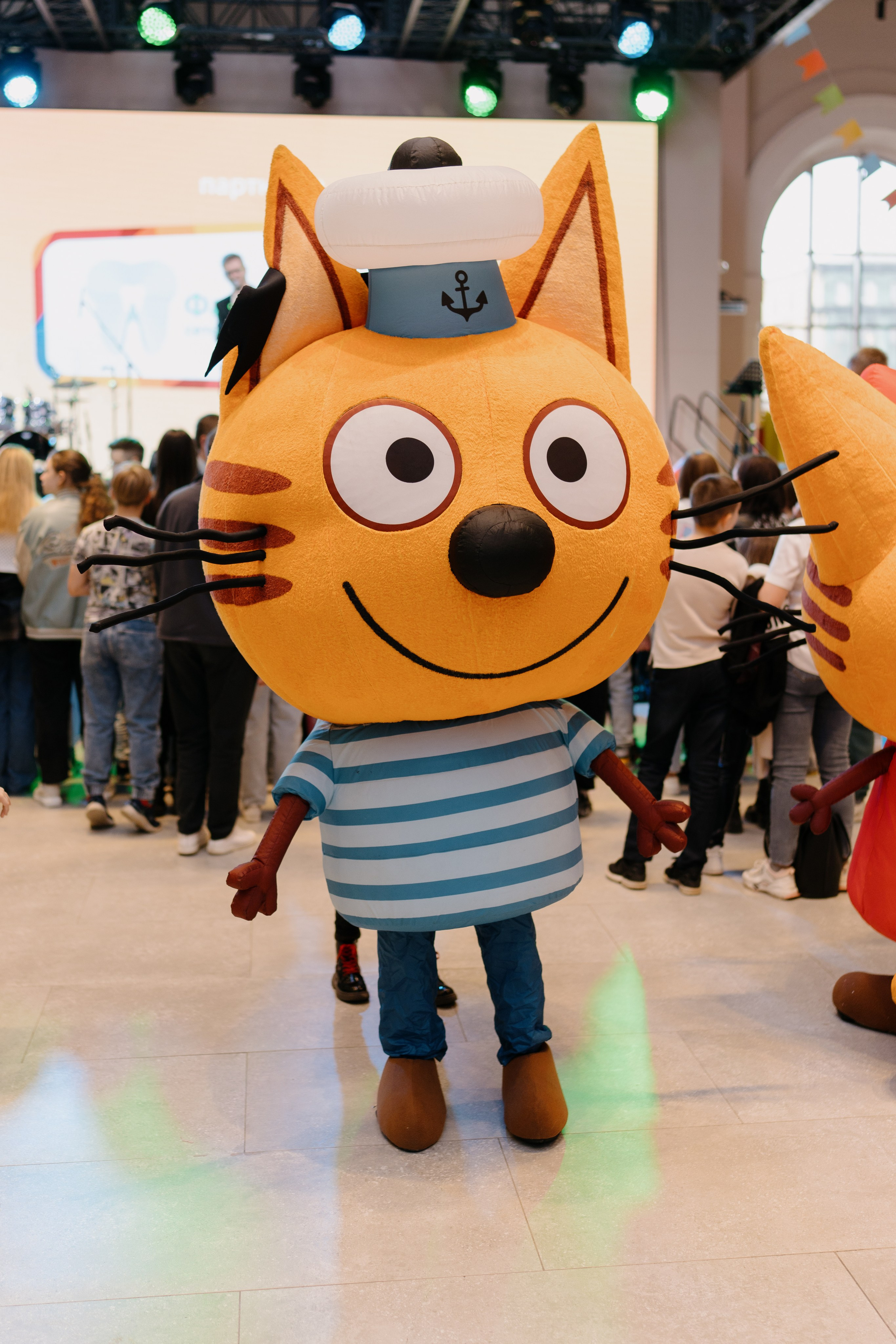 Три кота на «Каникулы с Комсомолкой» 04.05.24. Свадебный и семейный фотограф в Санкт-Петербурге Дмитрий Панин