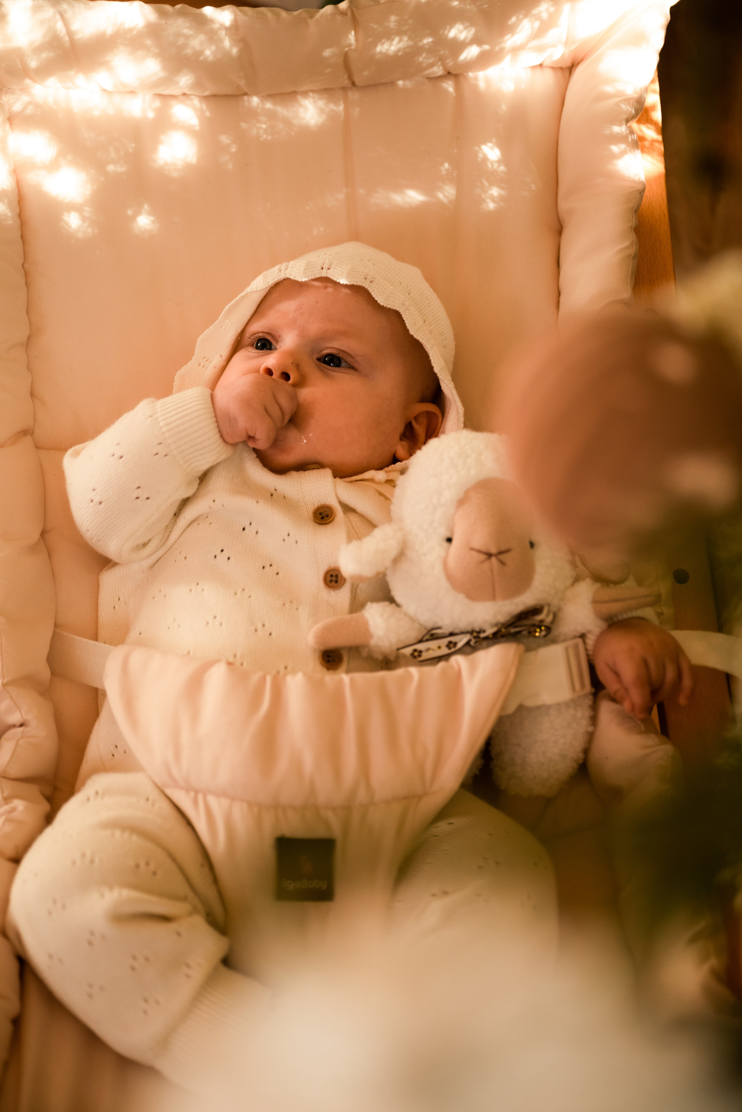 НОВОГОДНЯЯ СЕРИЯ в студии GREEN DACHA. Фотограф Ксения Огородова портфолио