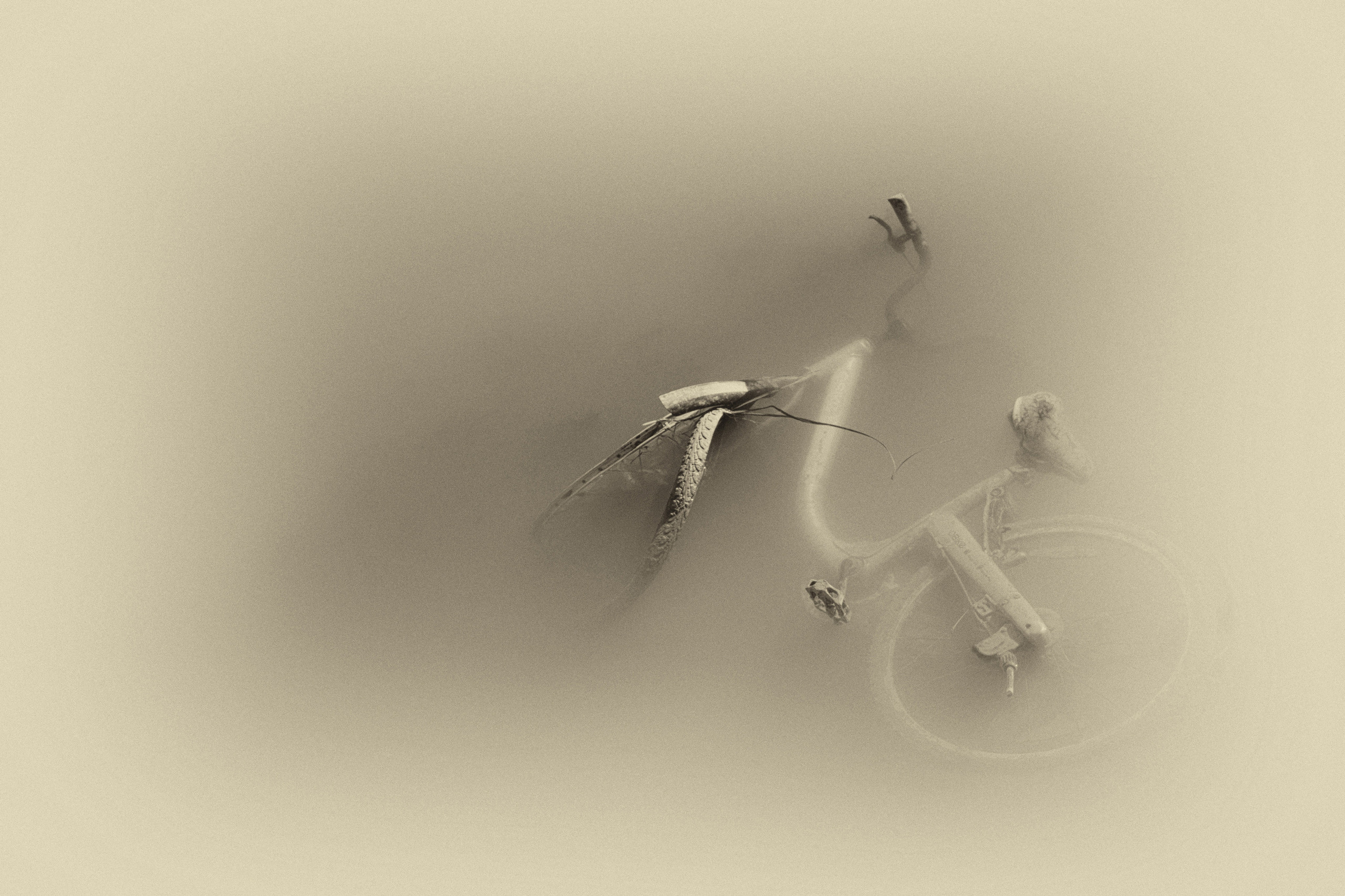 Забытое. Фотограф Владимир Васенёв