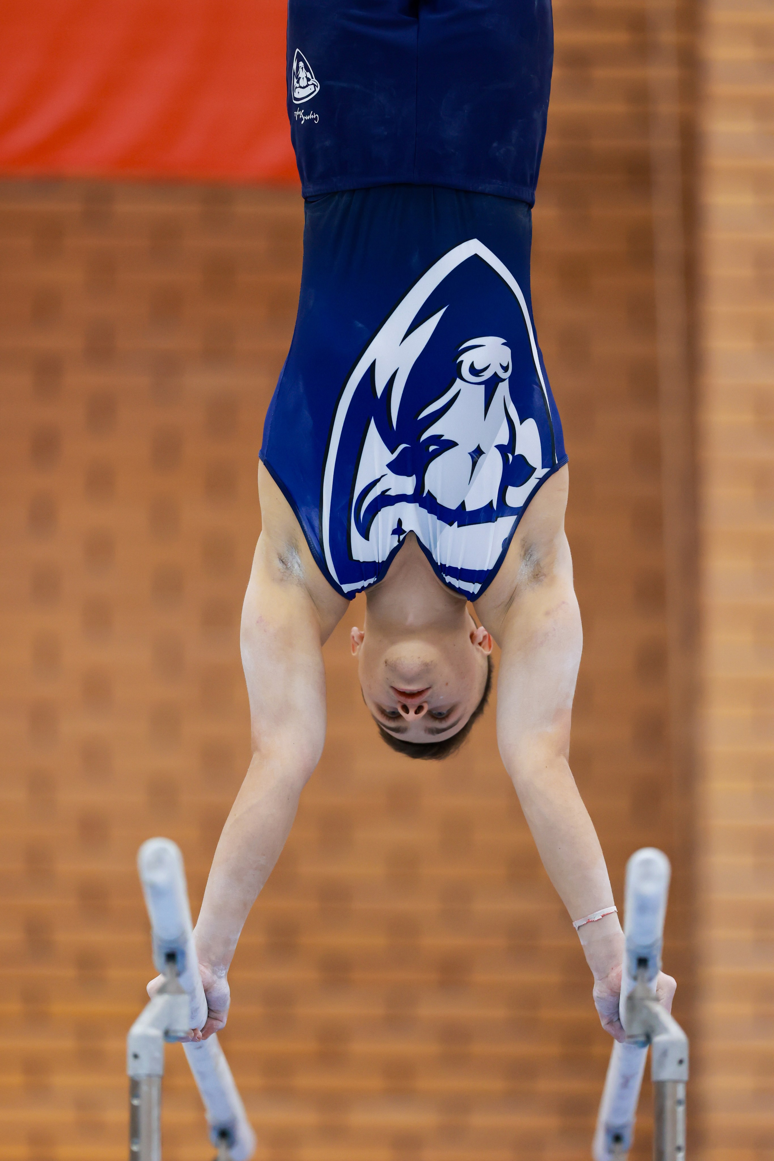 2 этап Гимнастическая премьер лига 2024. Спортивный и репортажный фотограф Антон Тереханов
