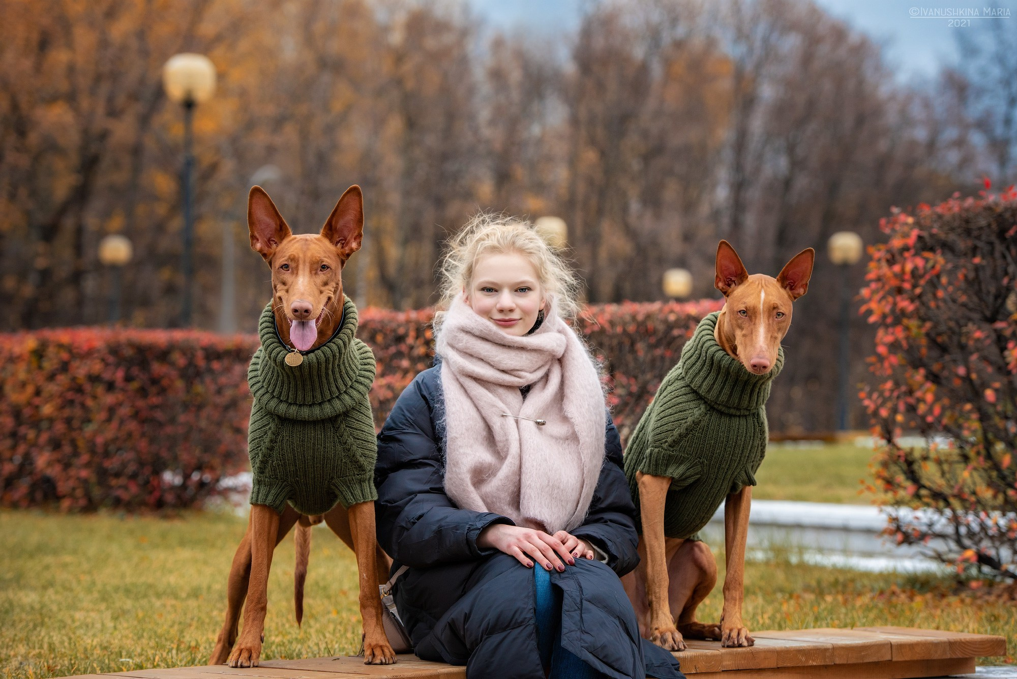 Фотосессия с собакой. Фотограф собак в Москве и Московской области Иванушкина Мария