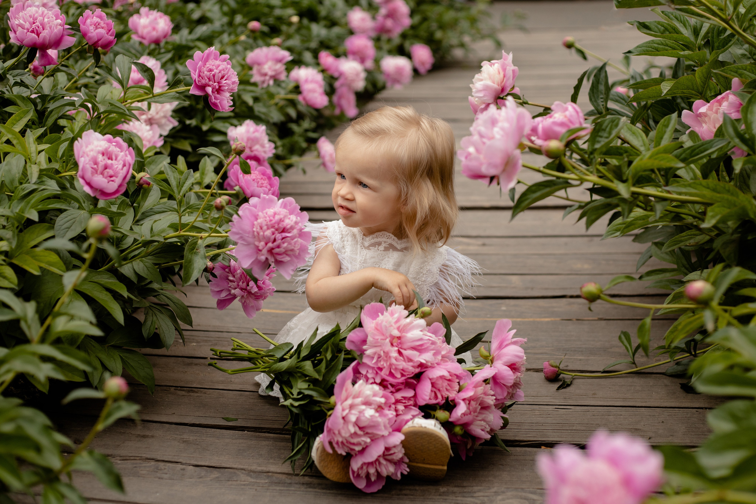 Пионовая история с Евой🌸. Семейный фотограф в Саратове Элоиза Ляпина