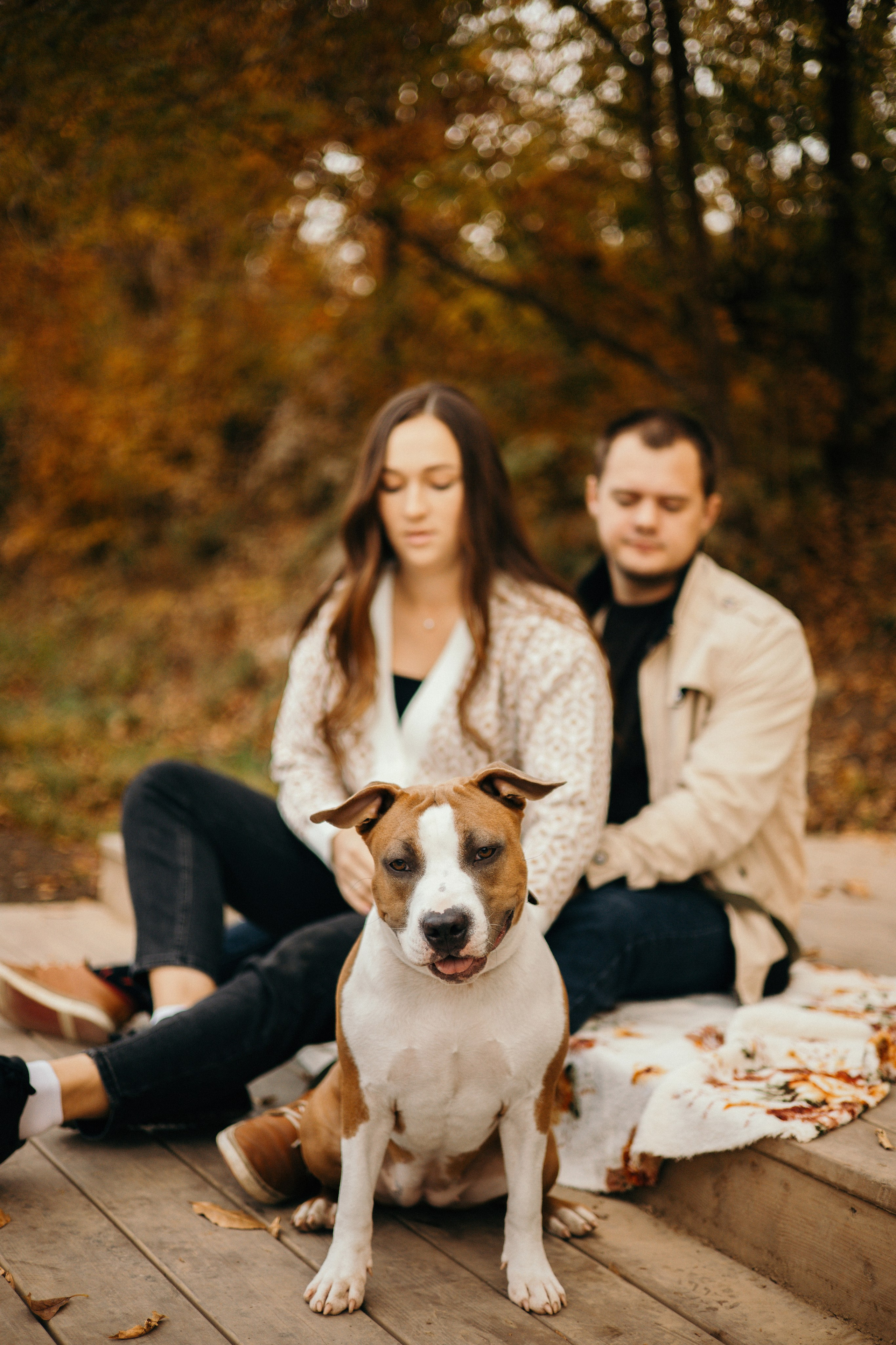Лаффи и ее семья. Фотограф — анималист Владивосток, Алина