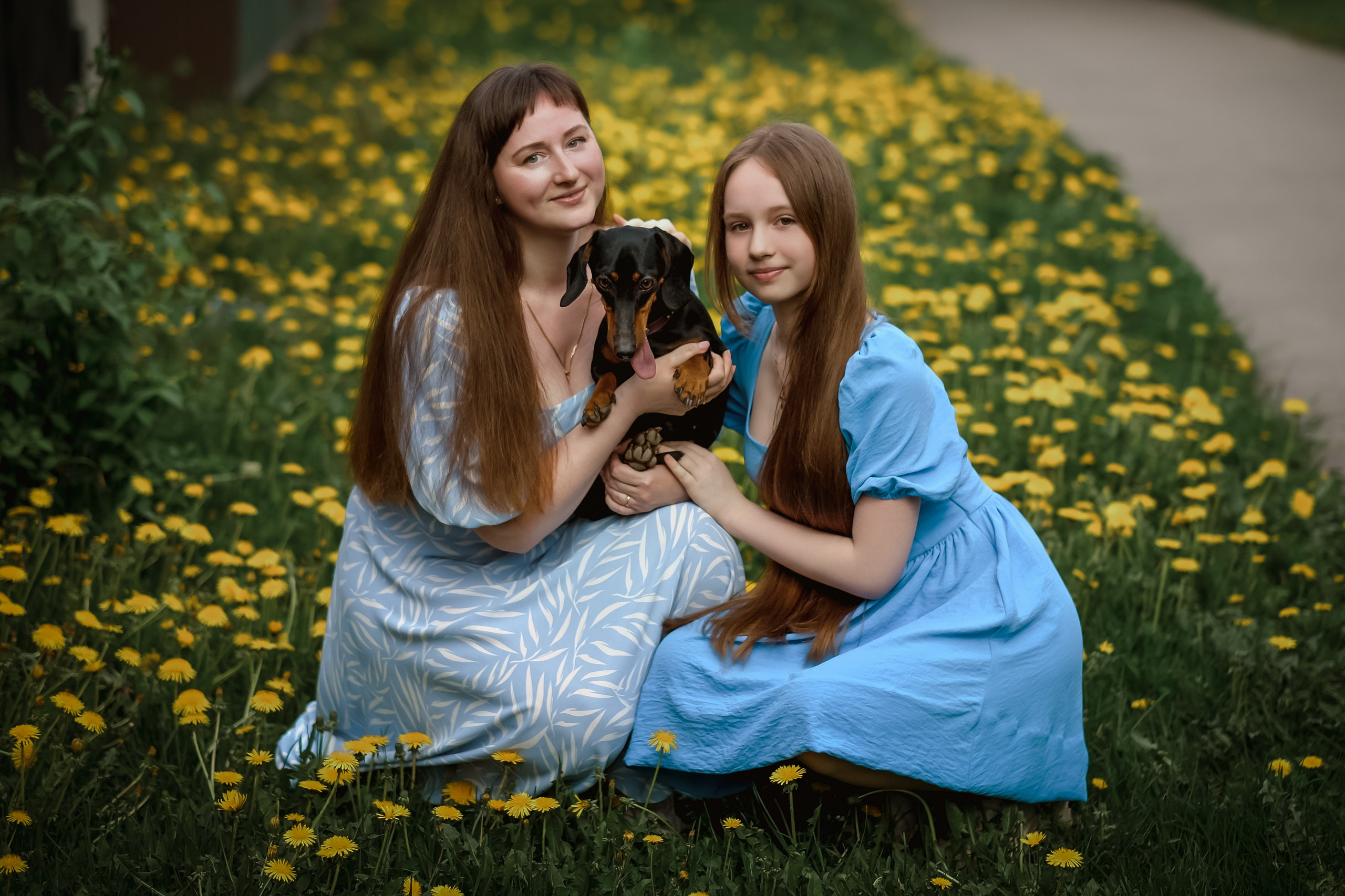 Фотосессии. Свадебный и семейный фотограф Амина Шабанова