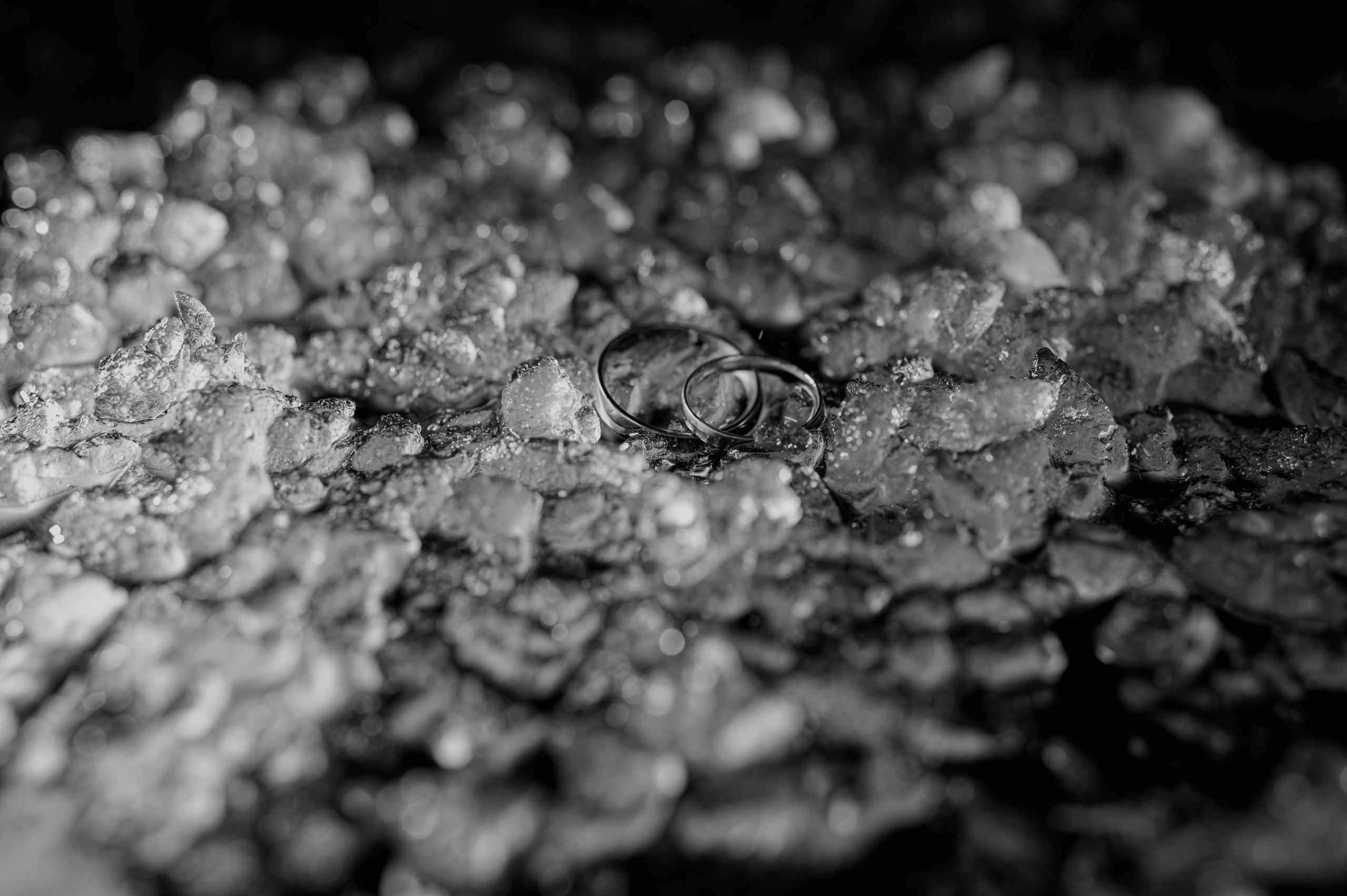 Виктория и Максим черно-белая серия. Портретный, семейный и свадебный фотограф в Санкт-Петербурге и в Москве Ширяев Денис