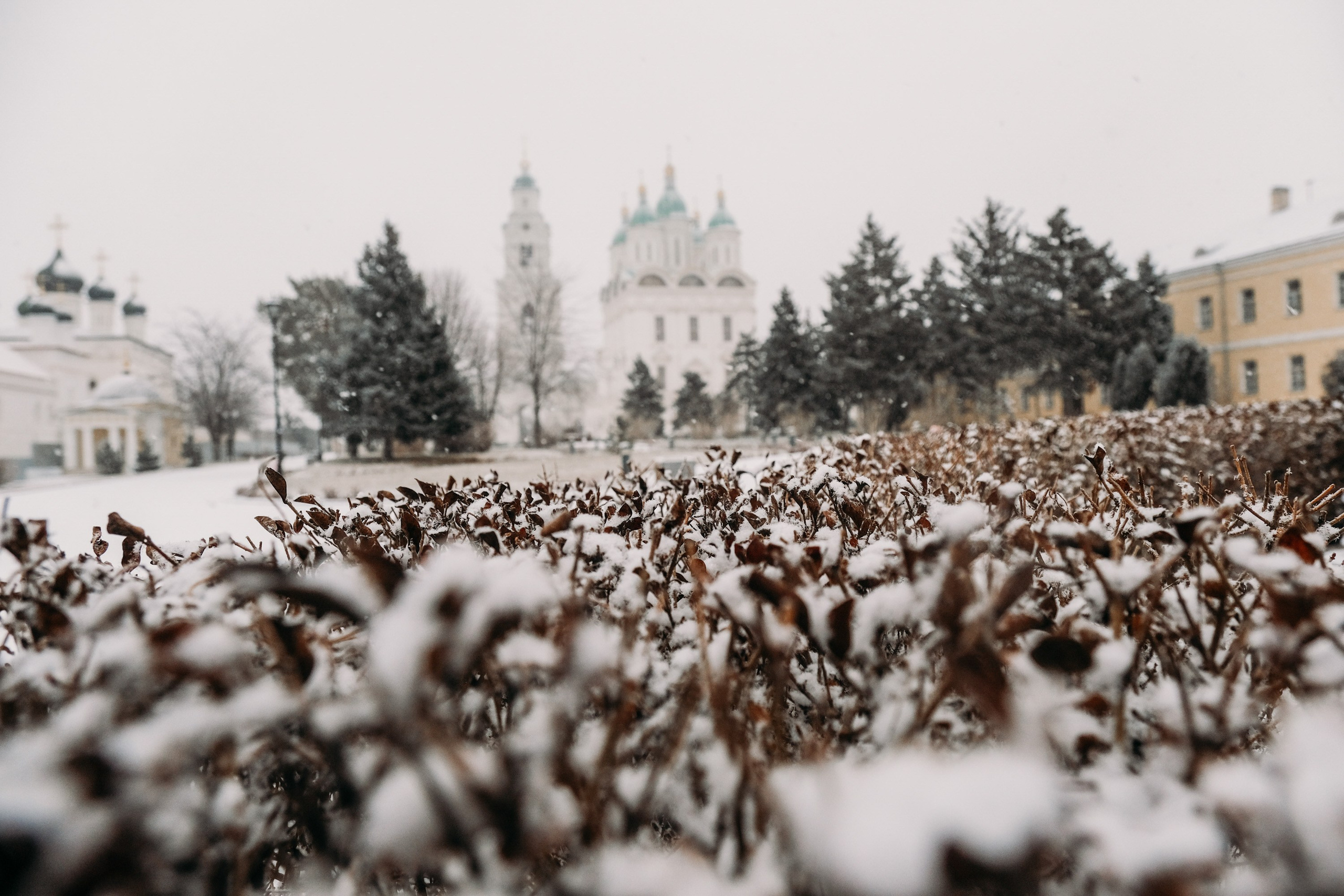 Снегопад. Фотограф Анатолий Деникин