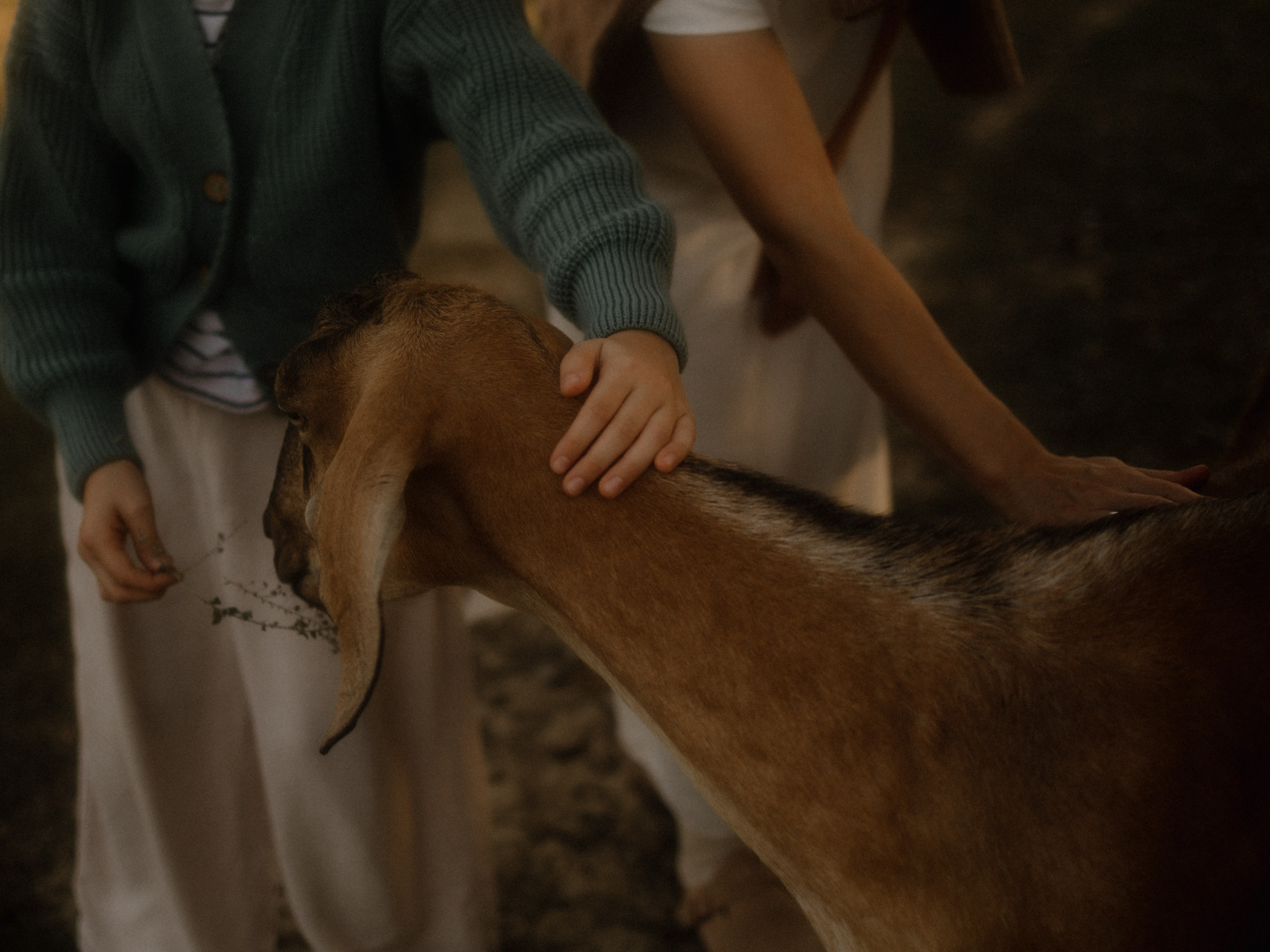 Глоток воздуха. Семейный фотограф в Краснодаре Храмова Анна