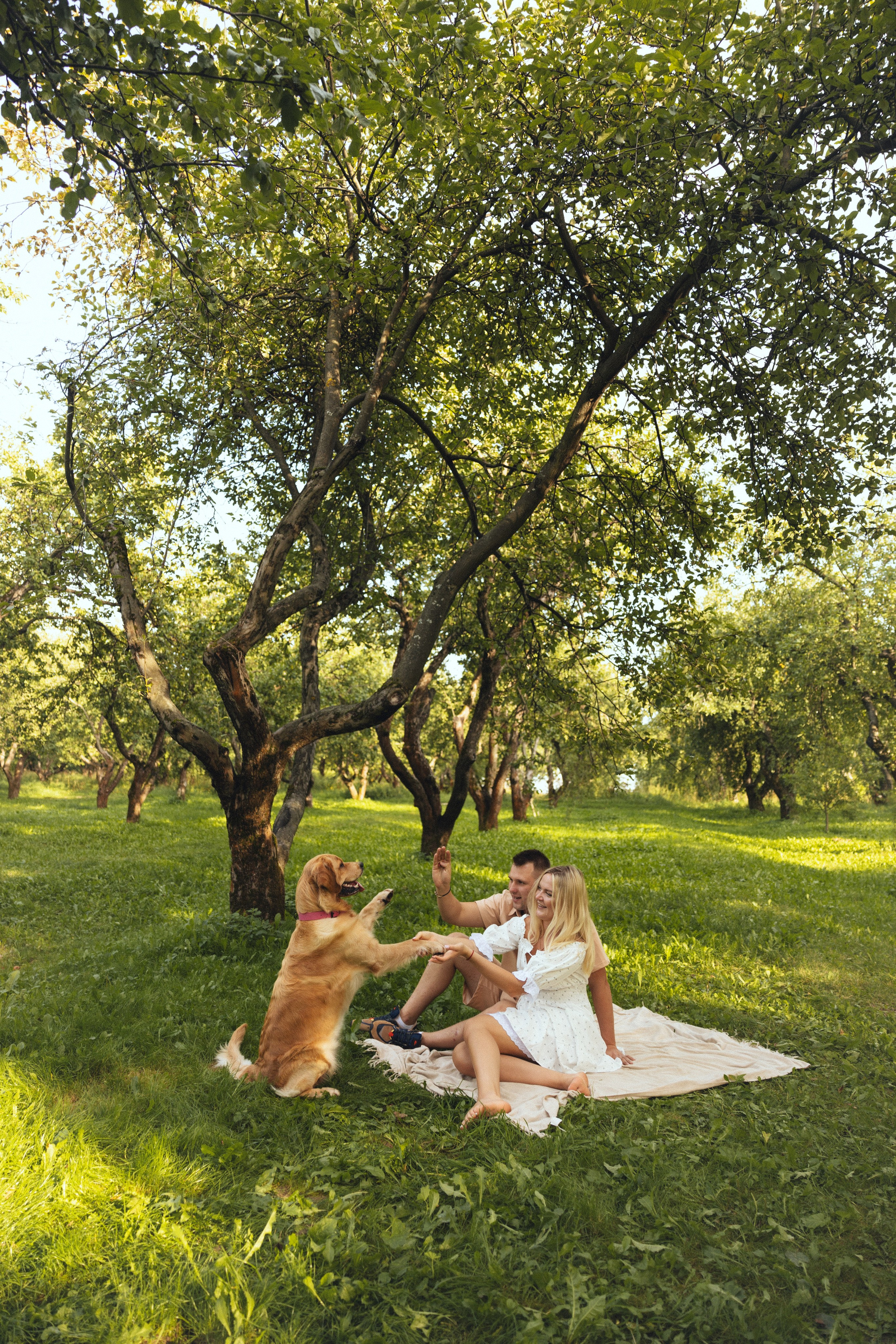 Елизавета и Даниил. Фотограф Дарья Смирнова