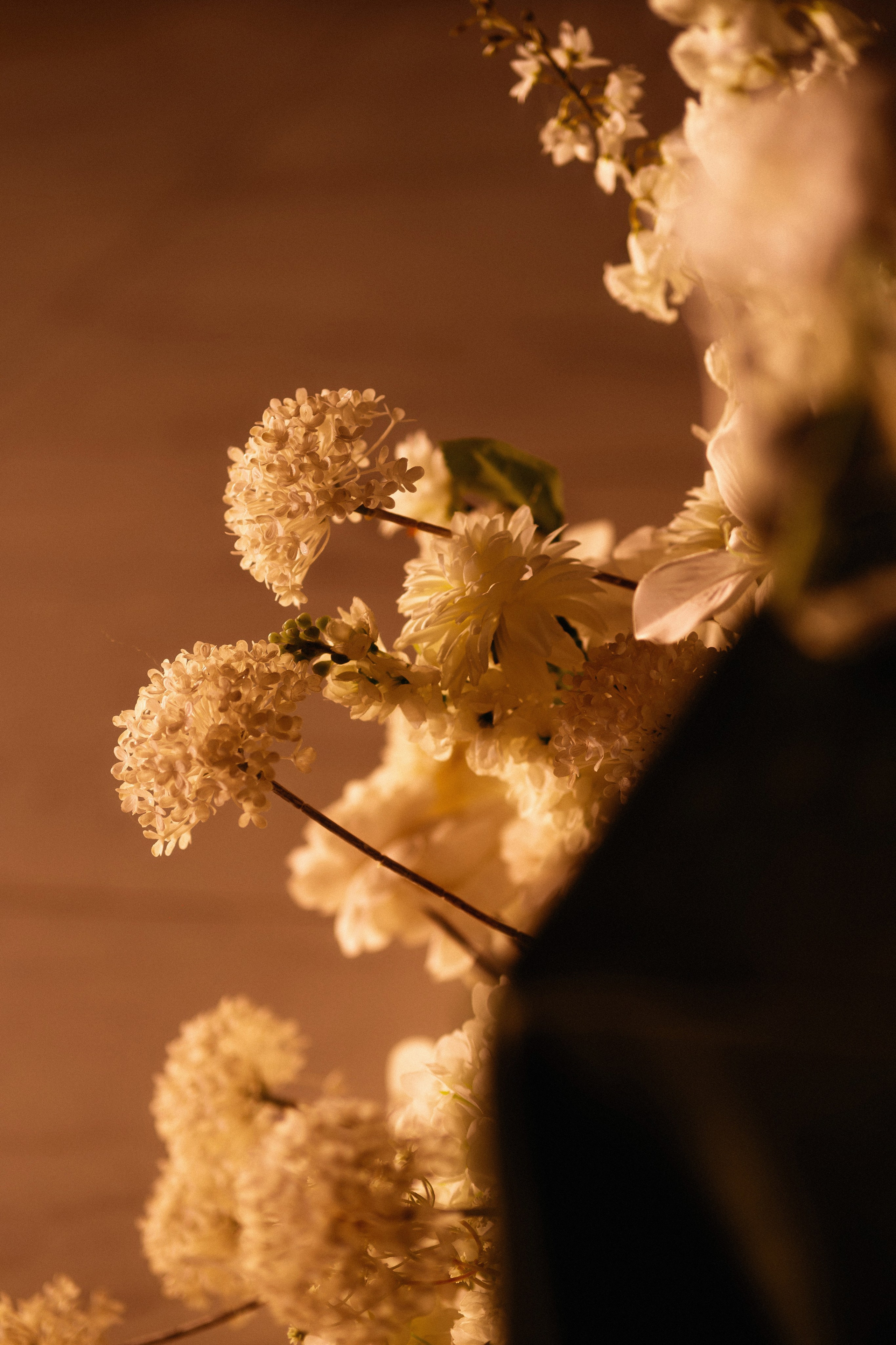 Максим & Залина. Свадебный и семейный фотограф в Краснодаре Павел Мельников