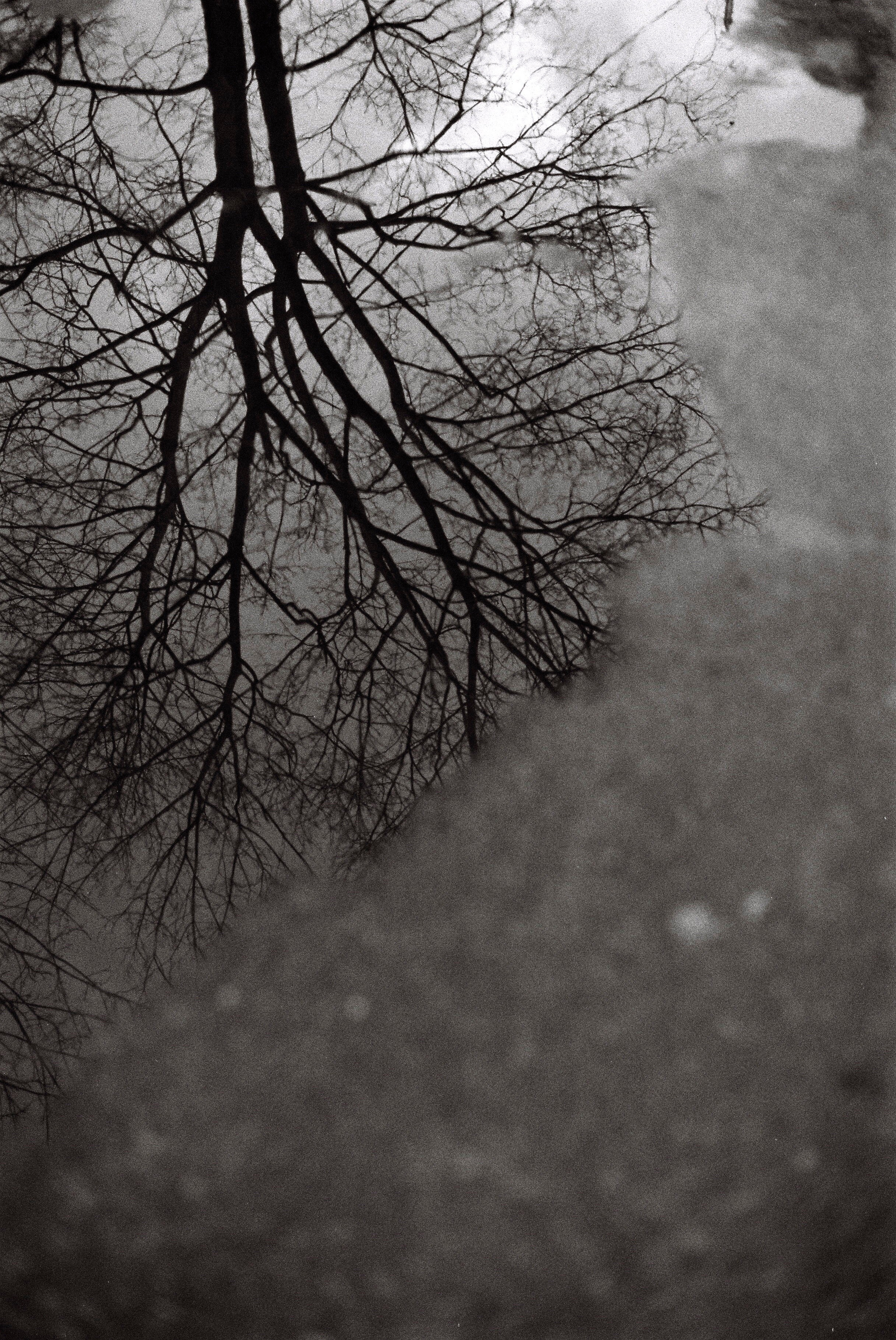 Всякие картинки