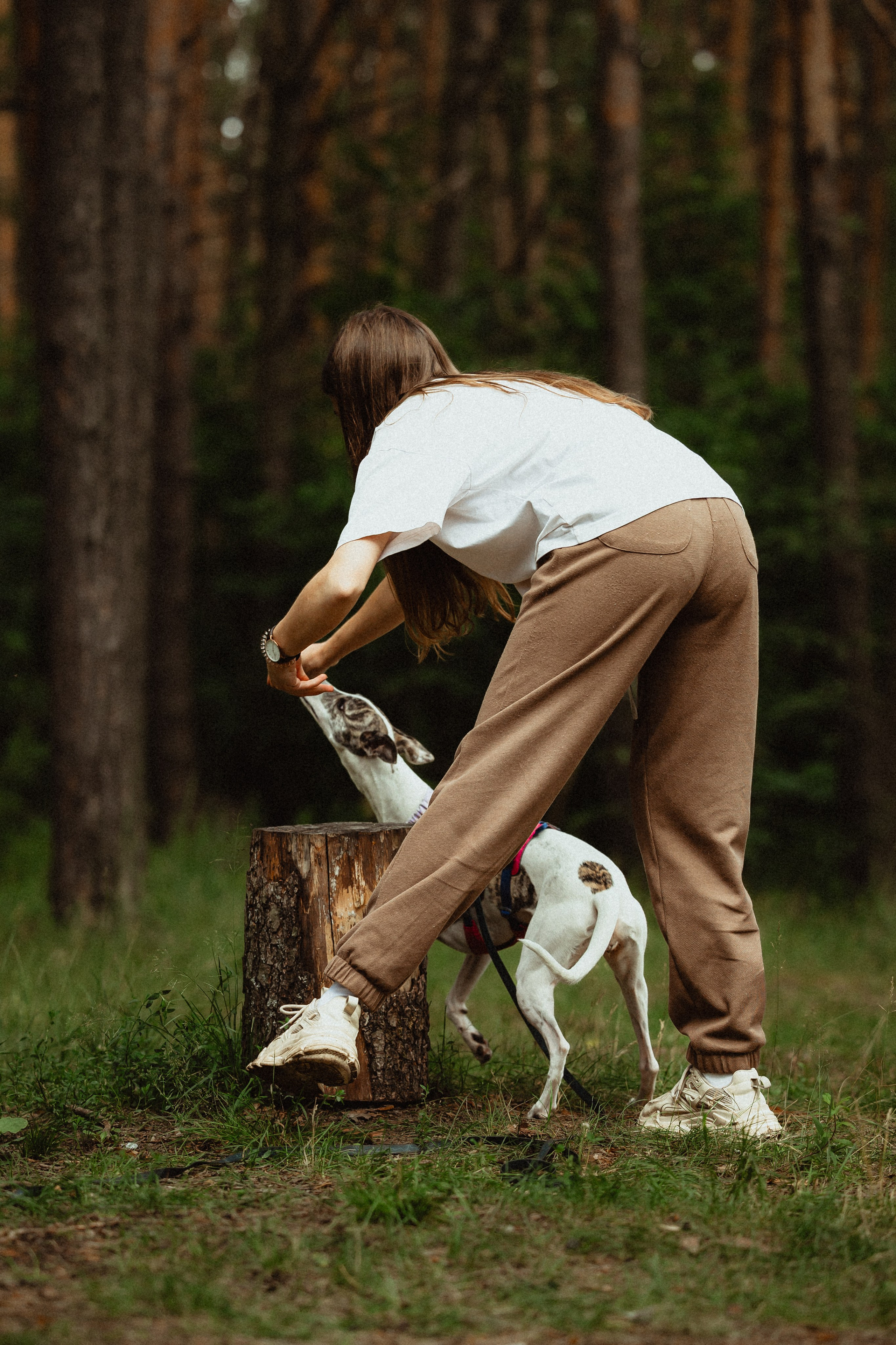 Выездной дог-тренинг от школы «Шерсть имею»