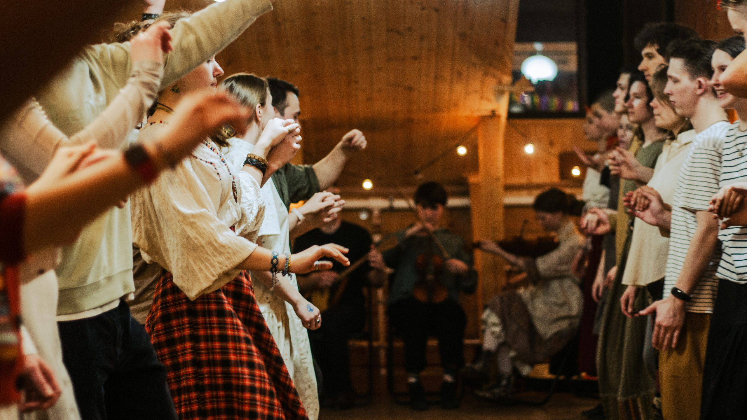 Вечорка. Мария Колесникова