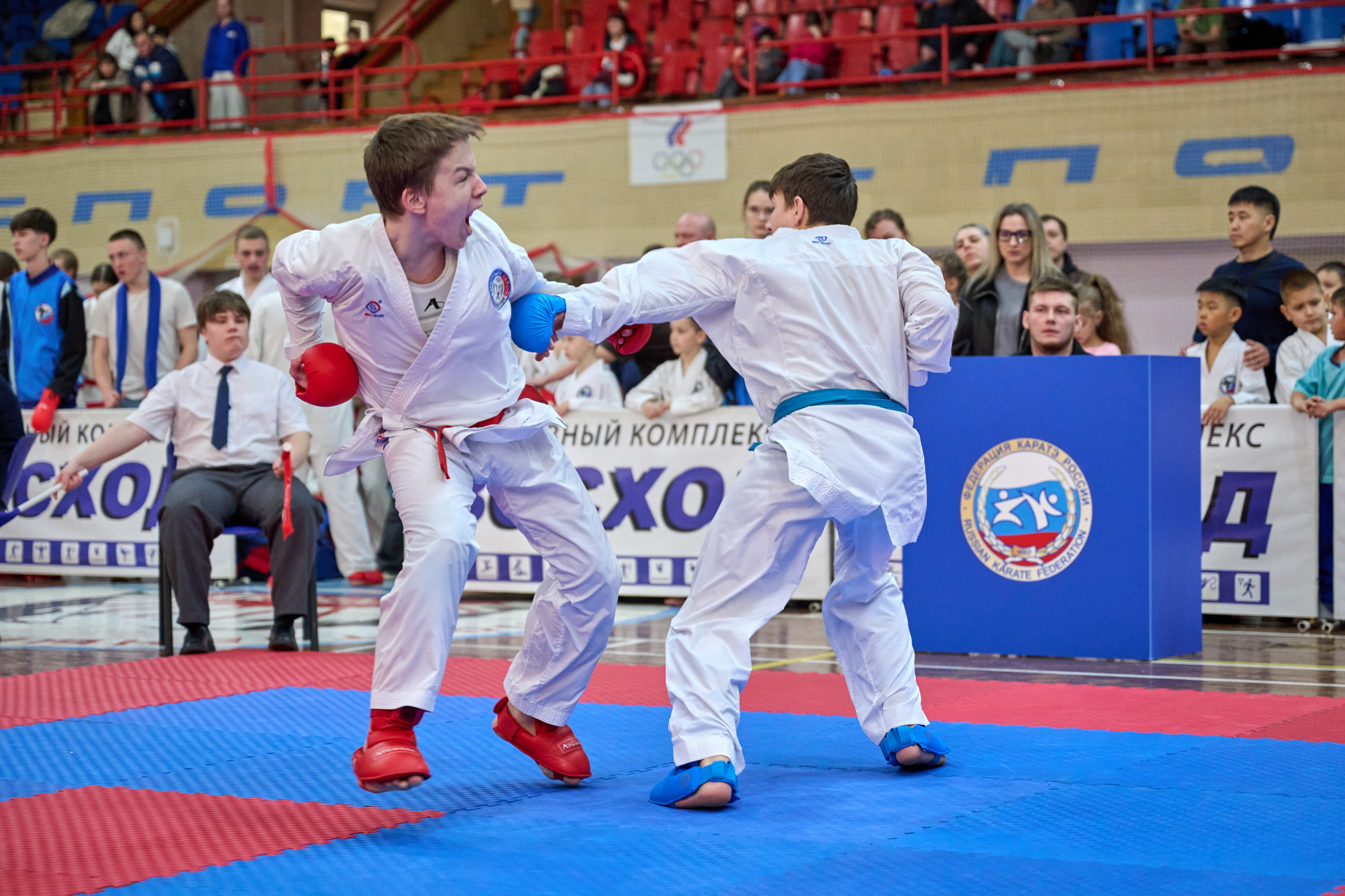 Чемпионат первенства Приморья по карате 28.03.26. Профессиональный репортажный фотограф Инесса Иминова