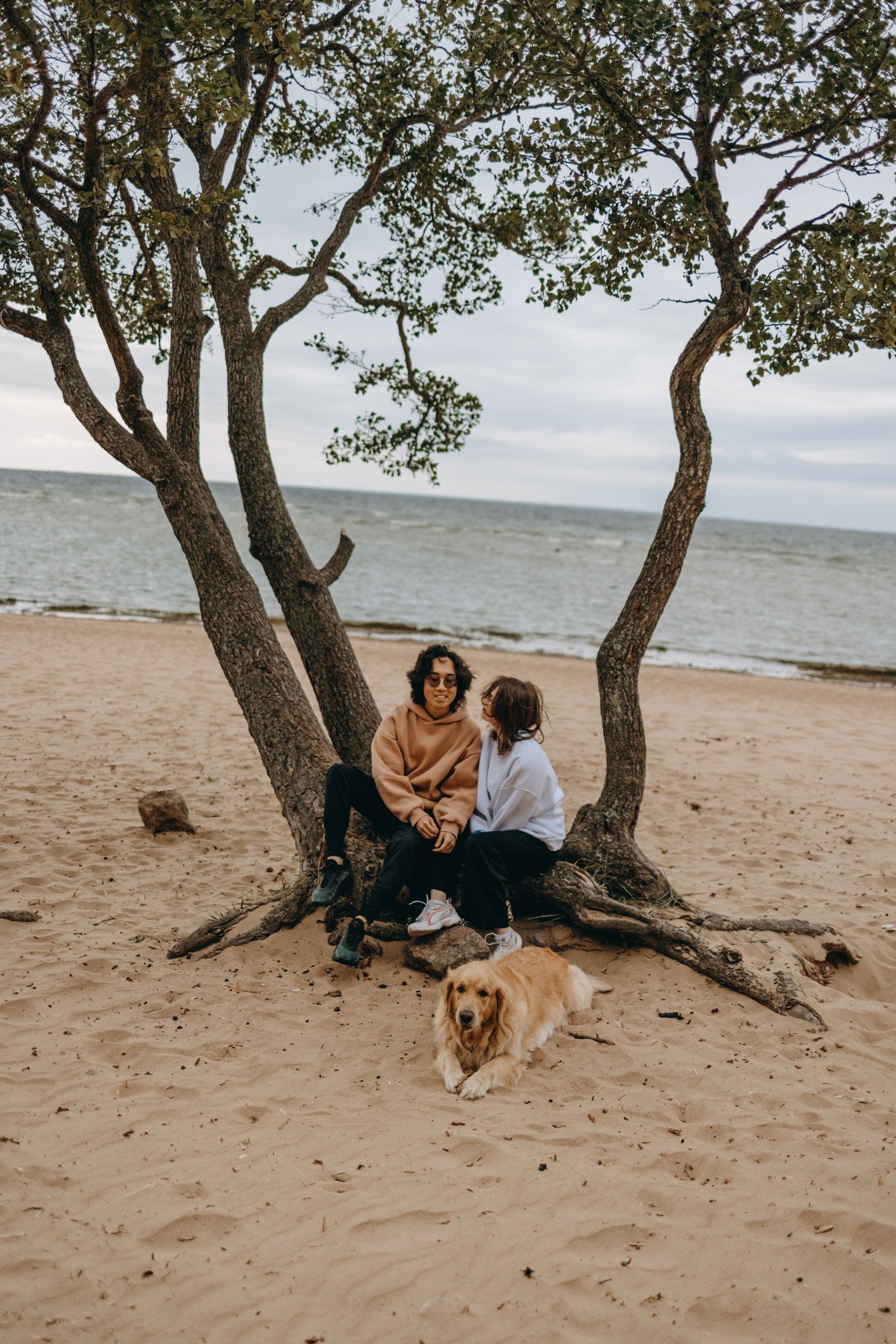 Фоси и его семьи. Фотограф — Анималист | Санкт-Петербург